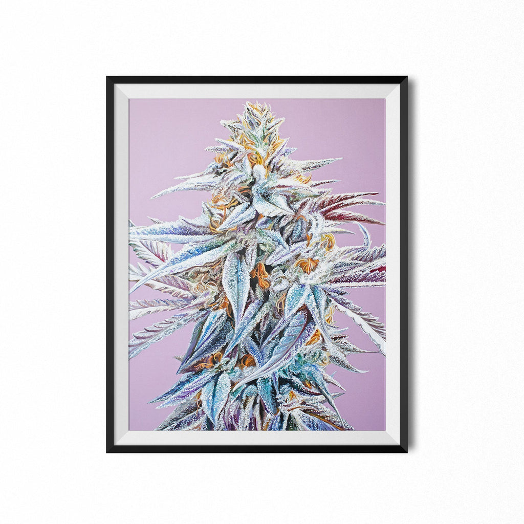 Trufflelatto Berry 18"x24" Poster