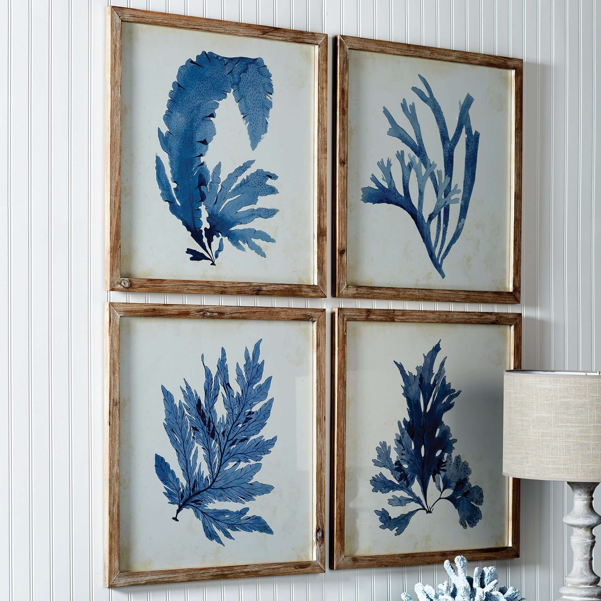 Vintage Coastal Blue Coral Prints with Whitewashed Wood Frames (Set of 4)