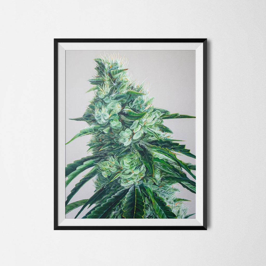 White Durban 18"x24" Poster