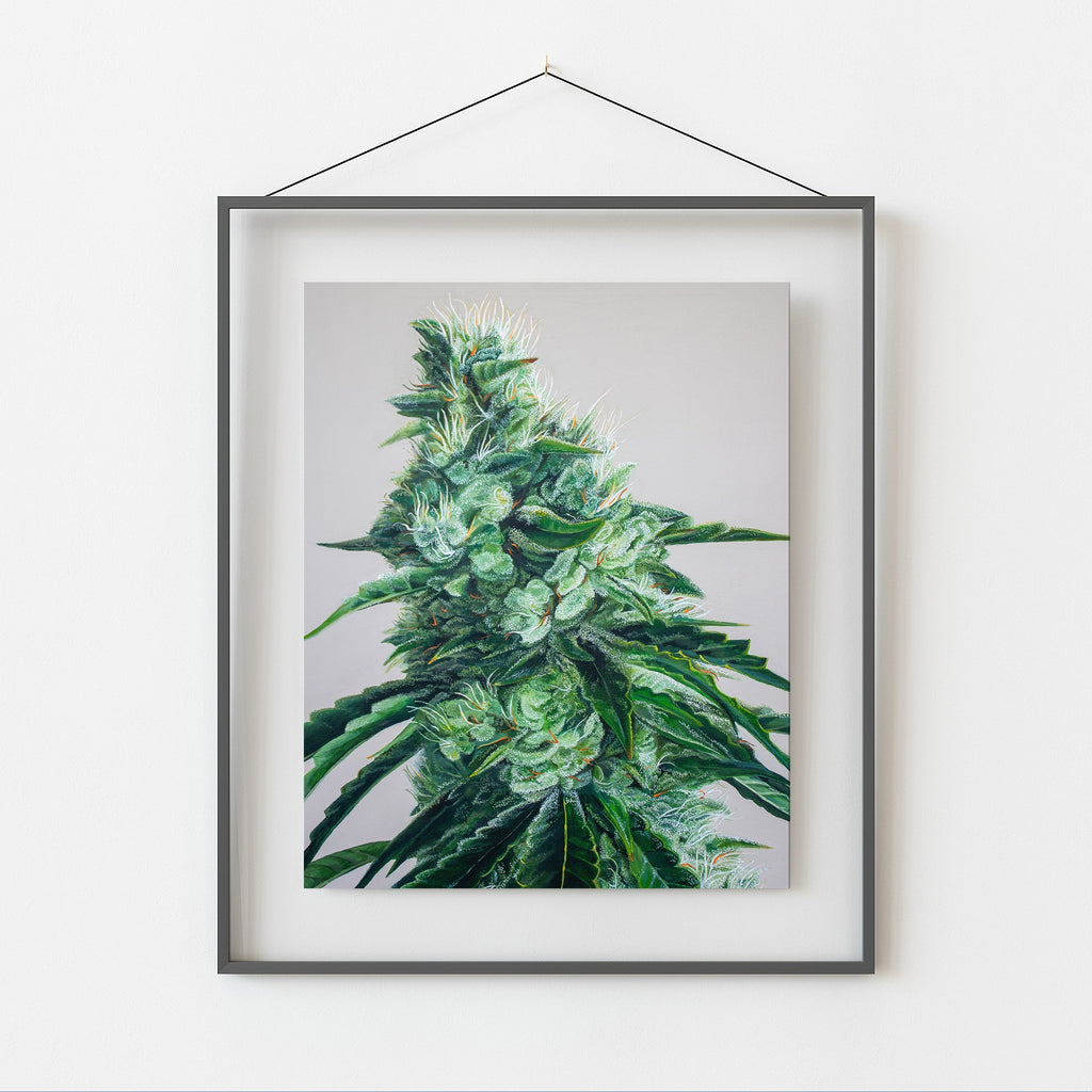 White Durban 8"x10" Print