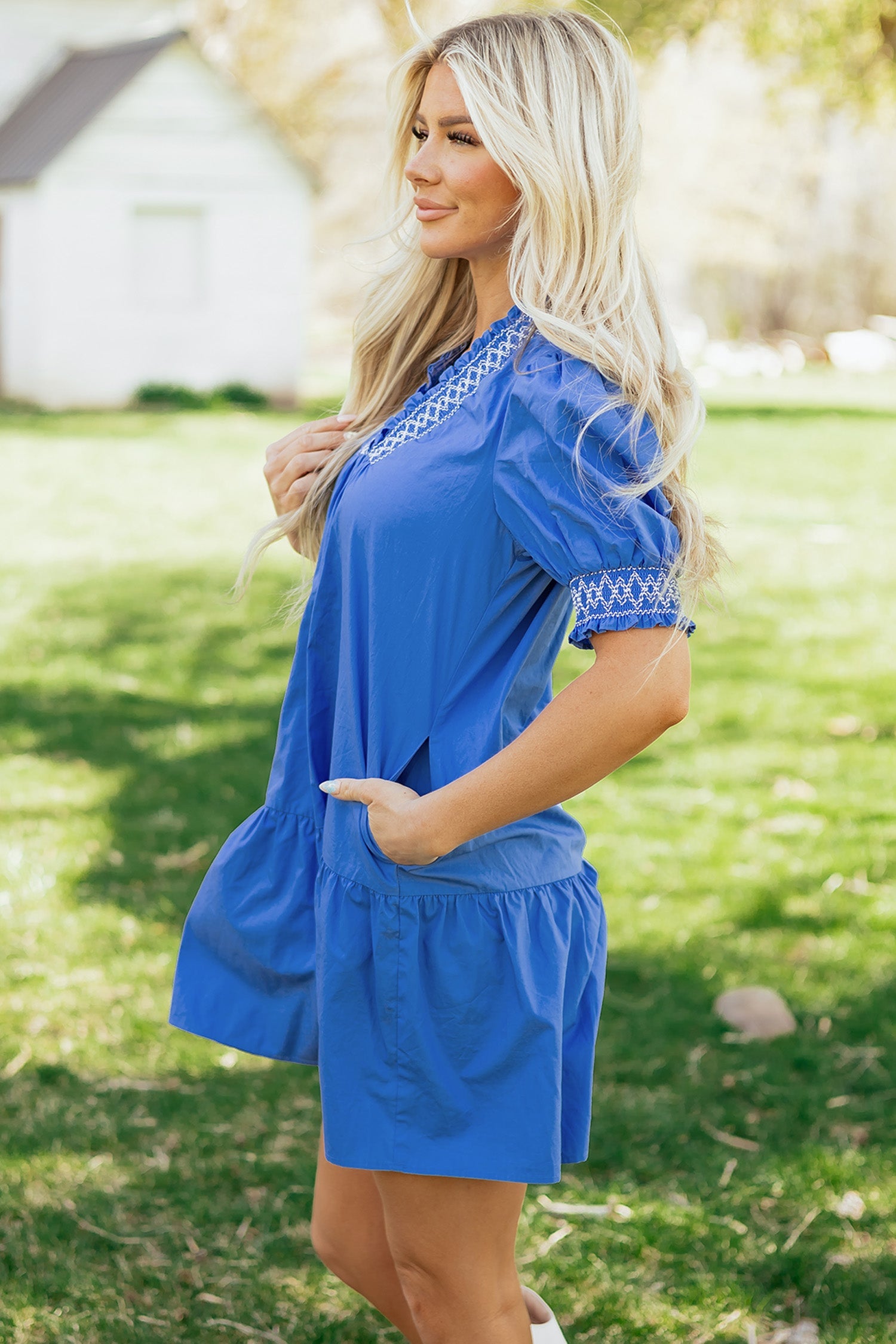 Embroidered Smocked V-Neck Puff Sleeve Mini Dress