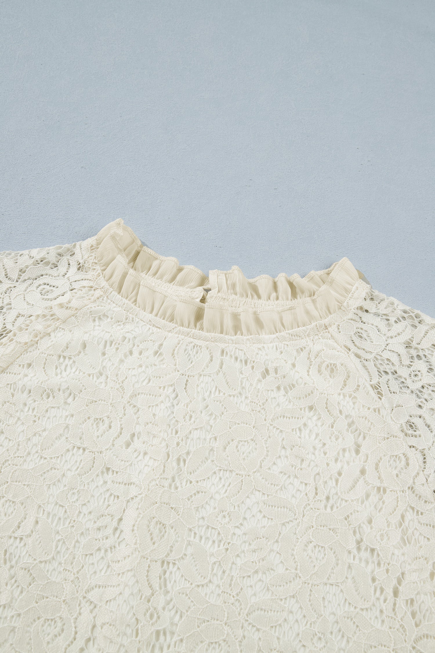 Sheer Lace Ruffle Trim Long Sleeve Blouse