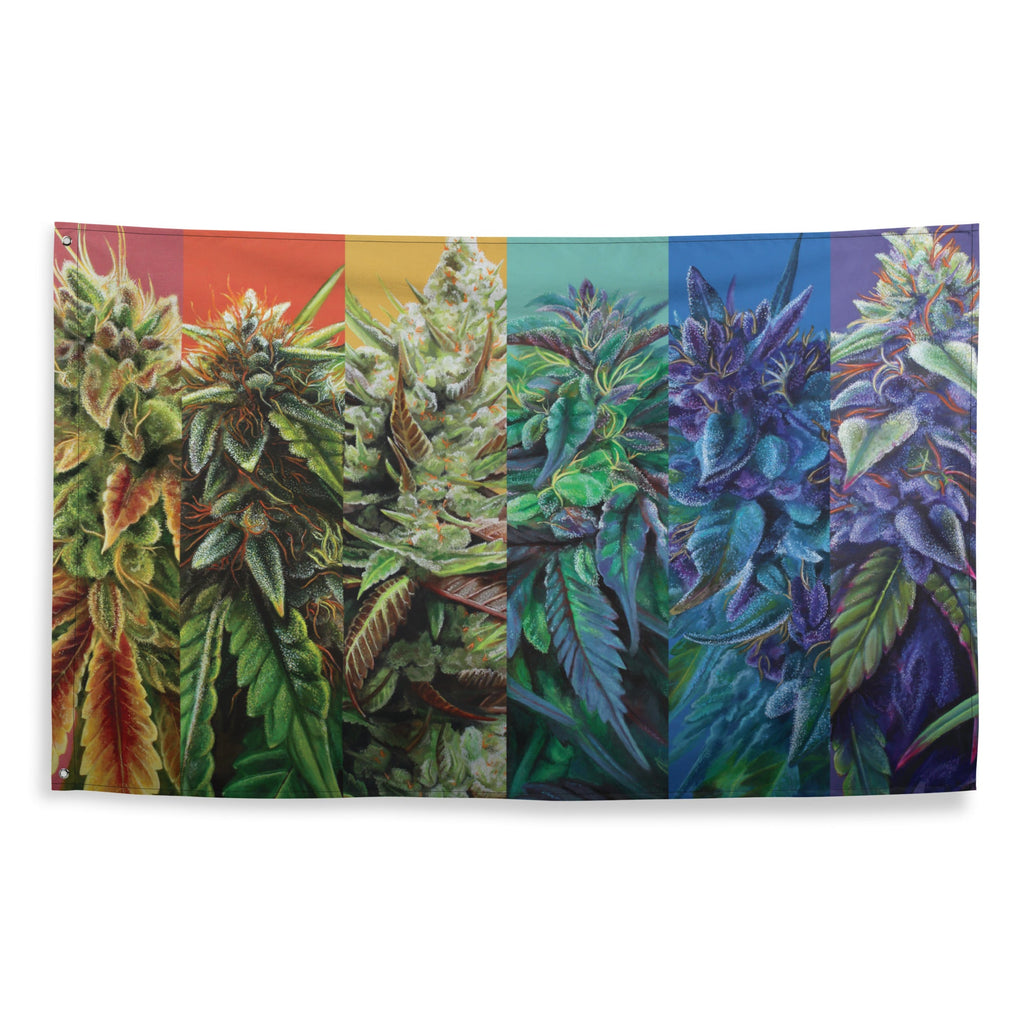 STRainbow Cannabis Flag - Rainbow Weed Flag