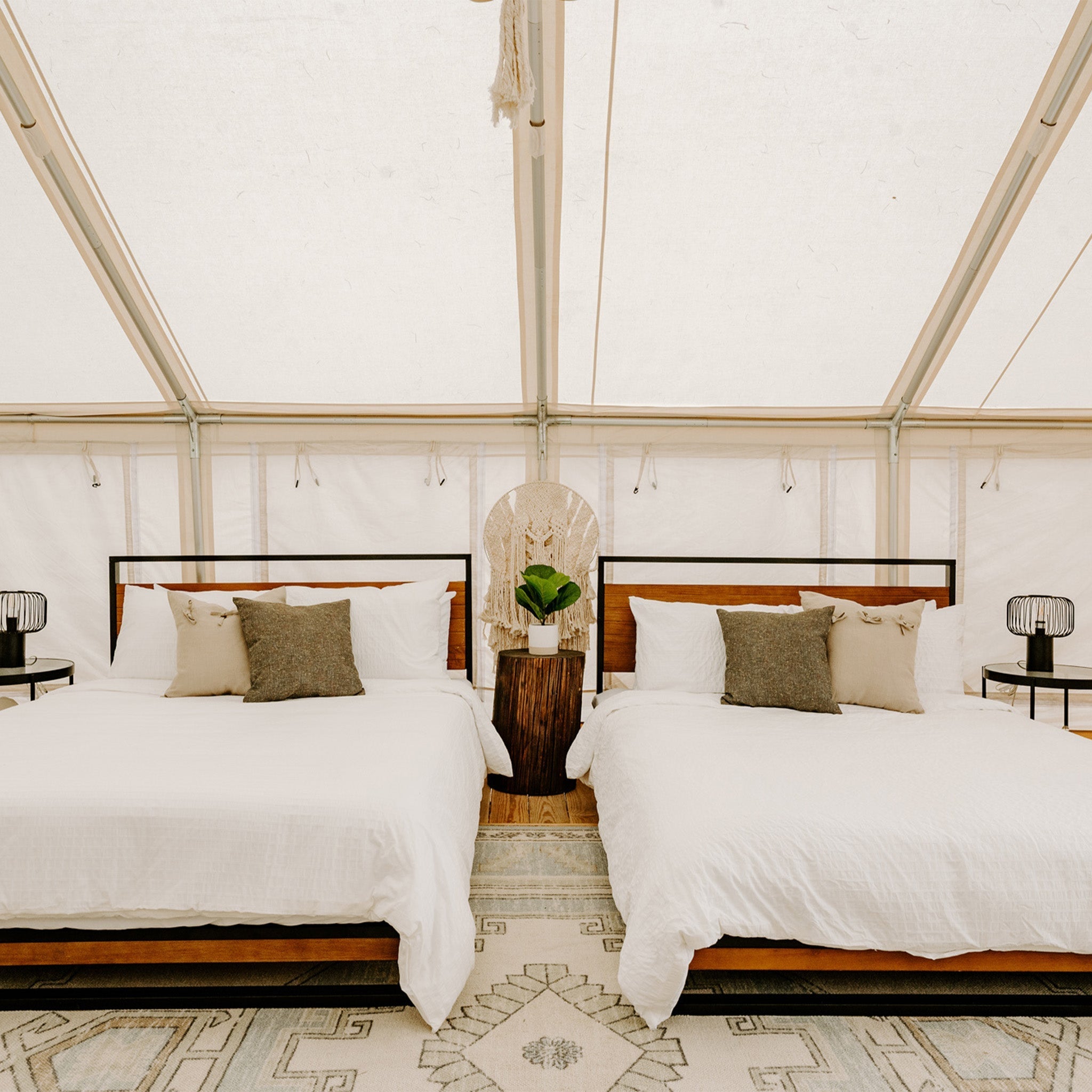 16'x20' Alpha Pro Wall Tent