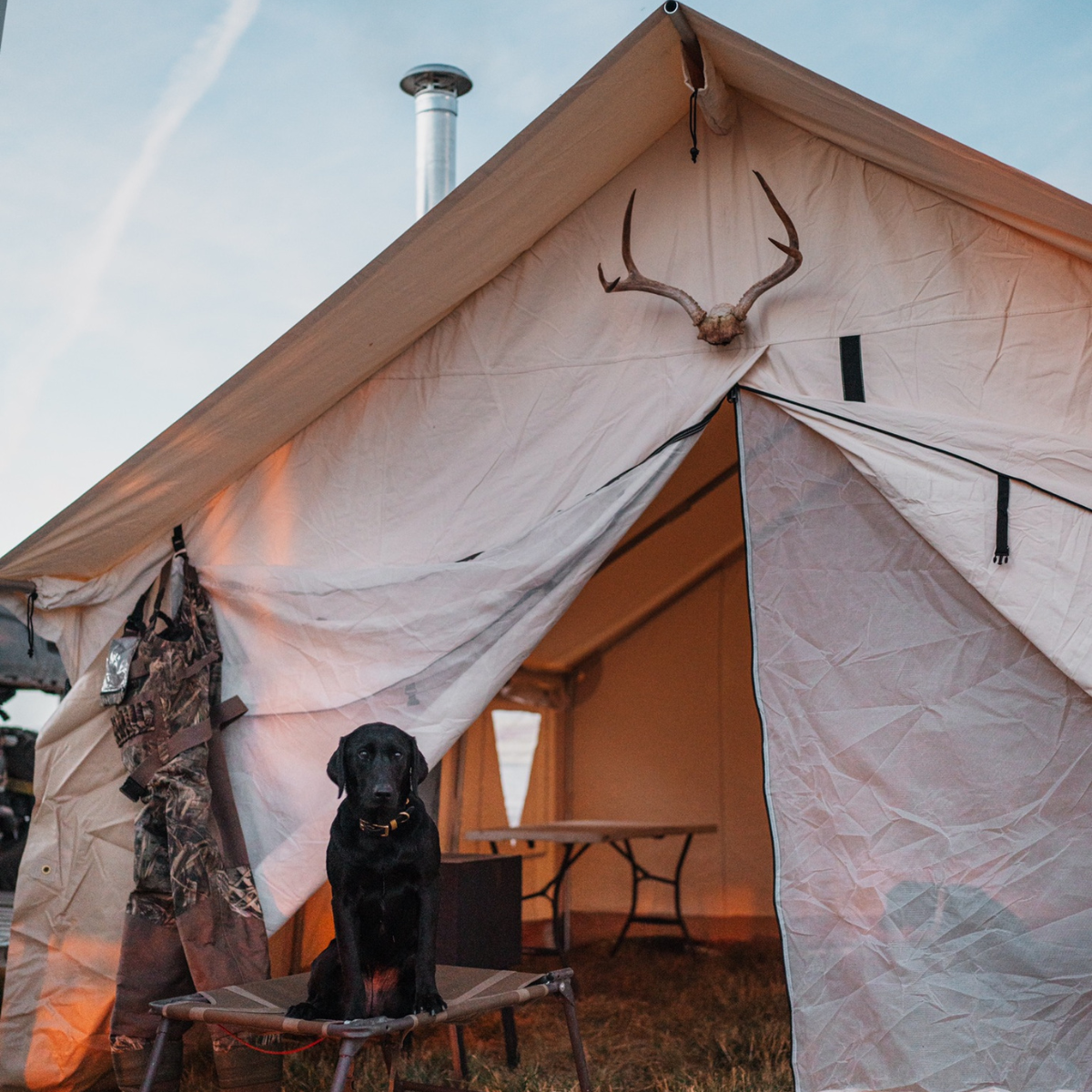 12'x14' Alpha Wall Tent