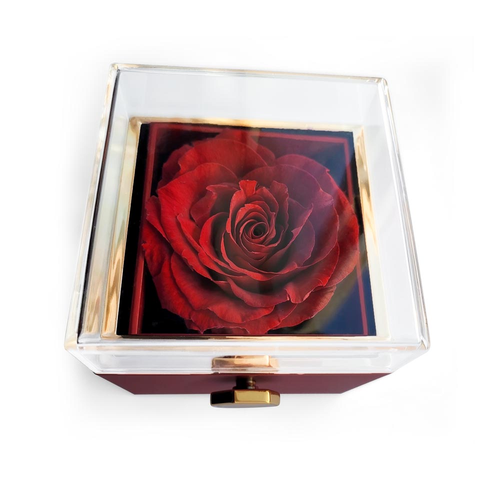 Praying Mama Mother's Day Love Knot Necklace with Preserved Rose