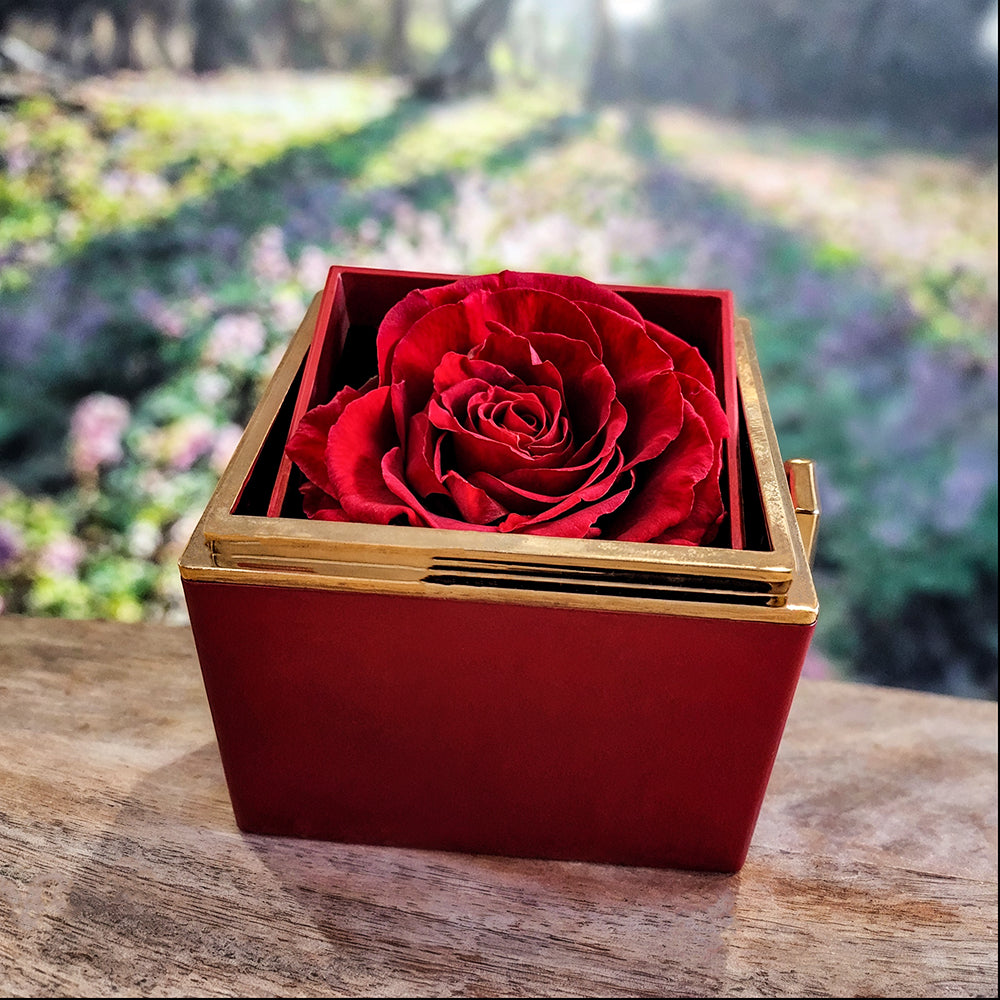 For My Beloved Mother on Mother's Day with Love Knot Necklace and Preserved Red Rose