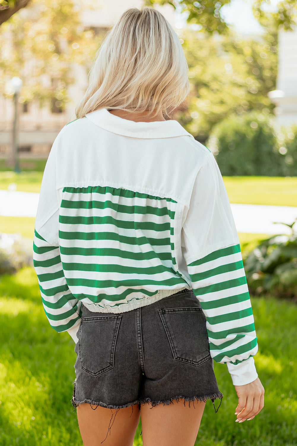 Stripe Colorblock Collared V-Neck Cropped Top