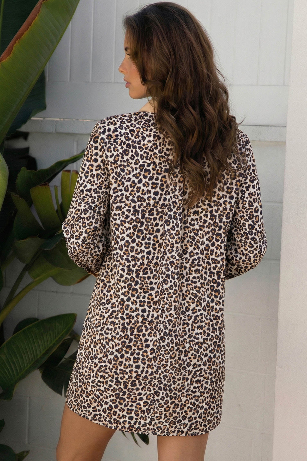 Leopard Stripe Collar Half Buttoned Flared Dress