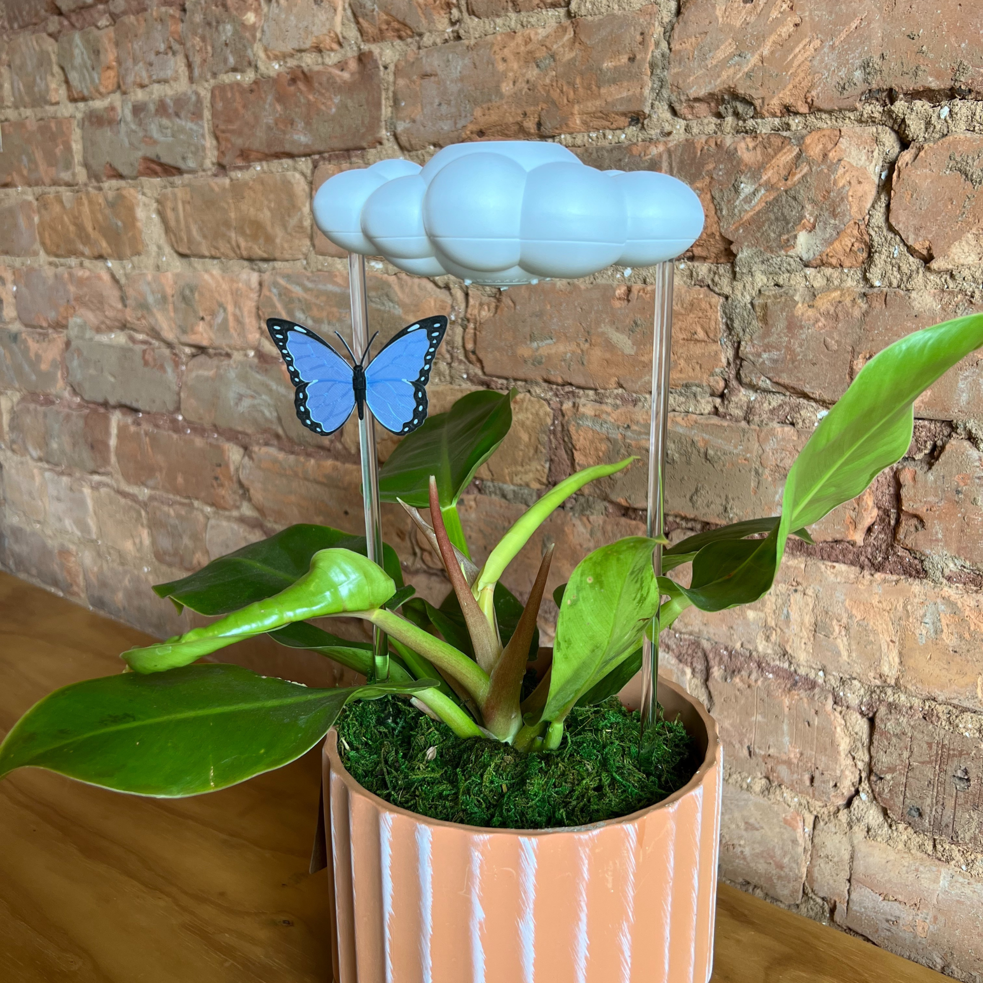 Original Dripping Rain Cloud with Blue Butterfly Charm