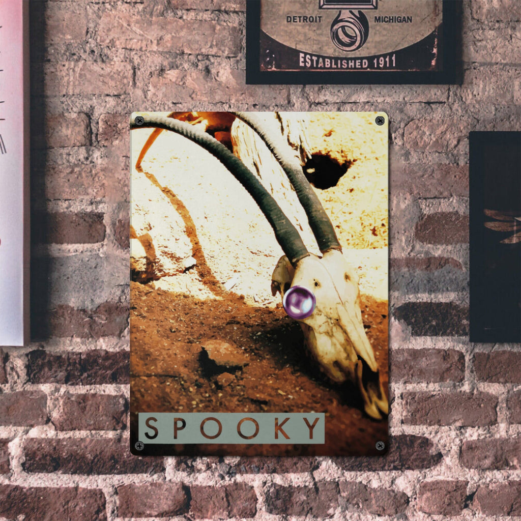 Spooky Skull Metal Tin Sign 12"x16" (Made in USA)