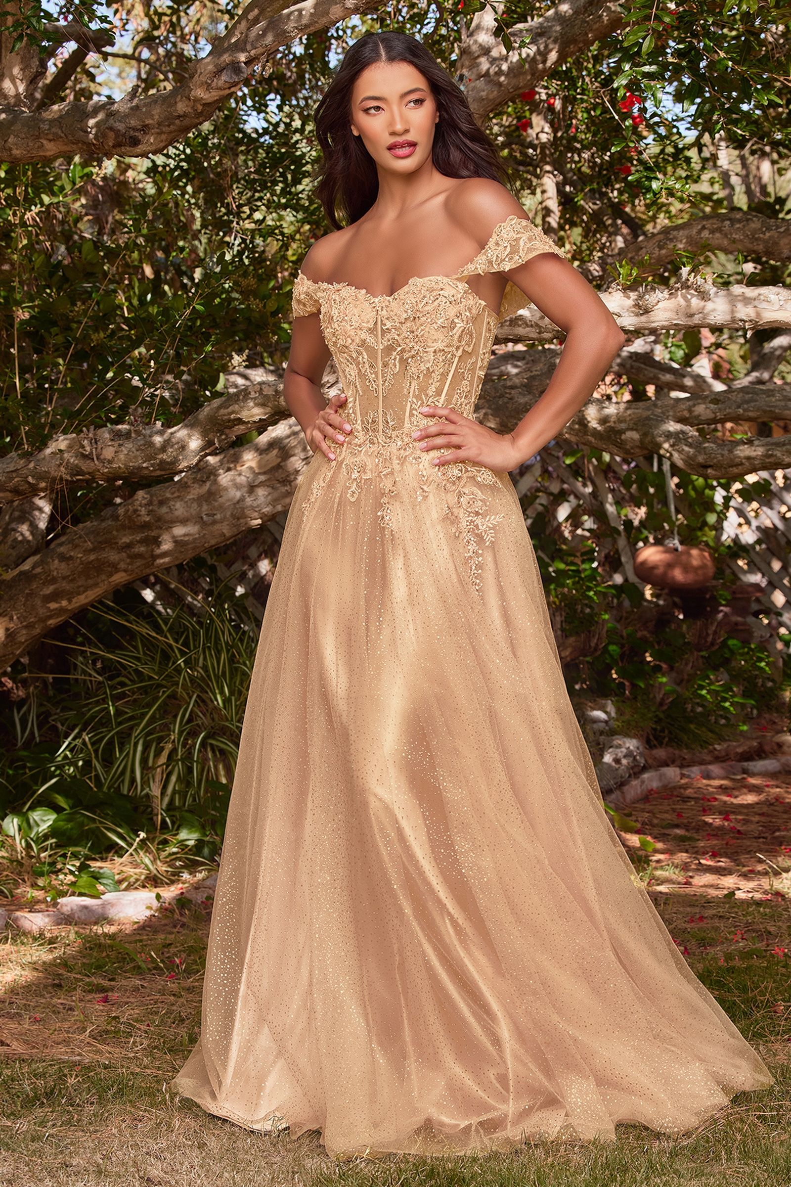 Lilac, Silver Blue, Wine Red Glitter Off Shoulder A-Line Gown with Corset Bodice  CDCD0198