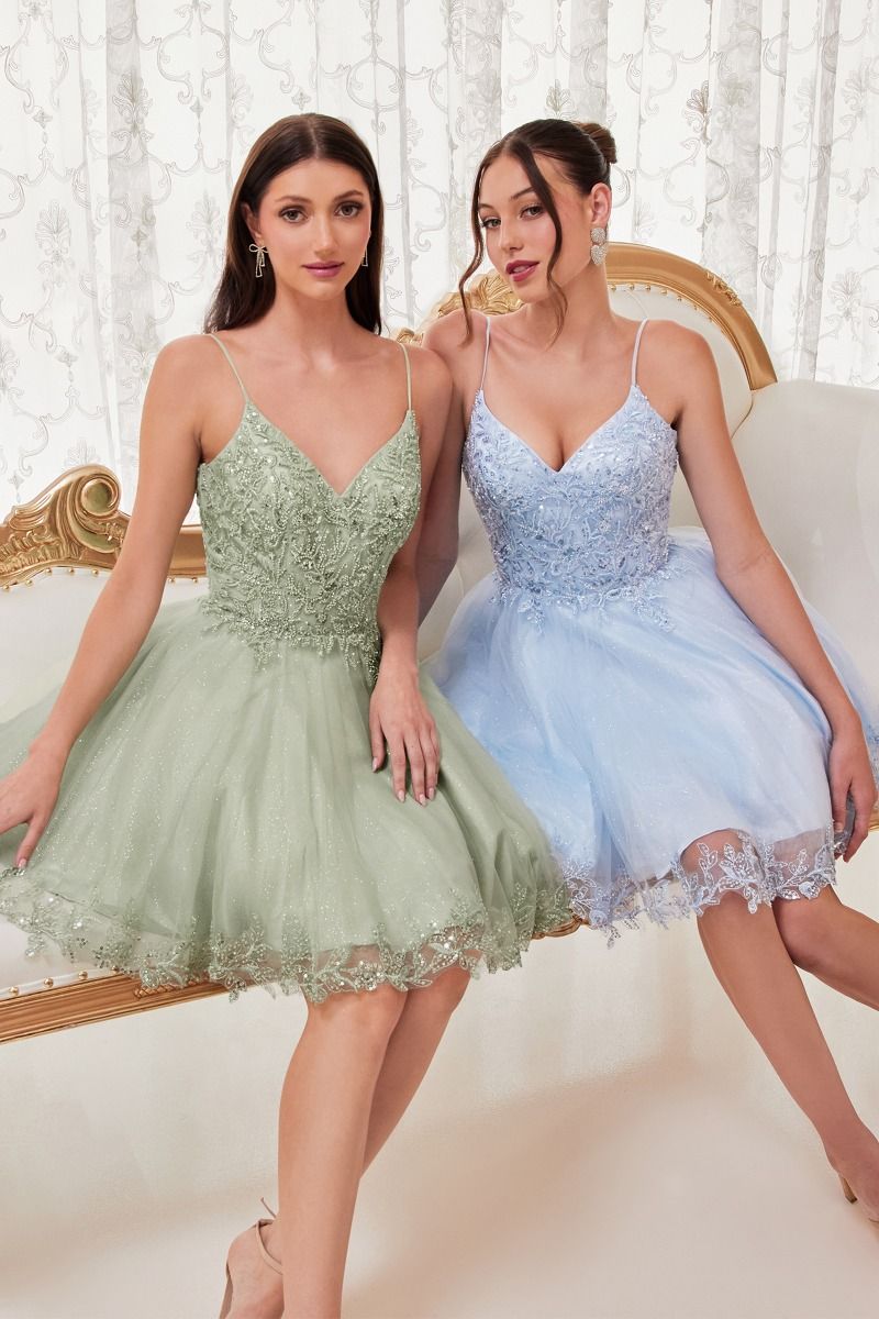 SHORT A-LINE LACE & TULLE DRESS CDCD0213