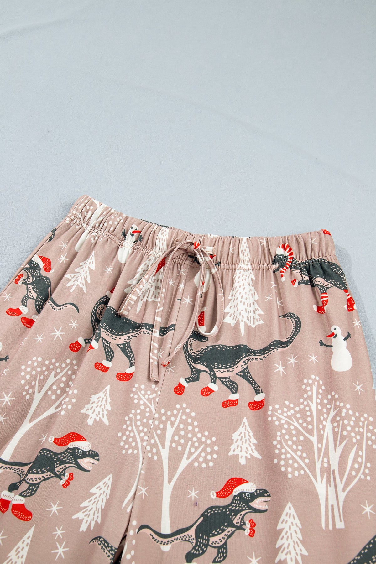 Christmas Dinosaurs Top & Pants Pajama Set