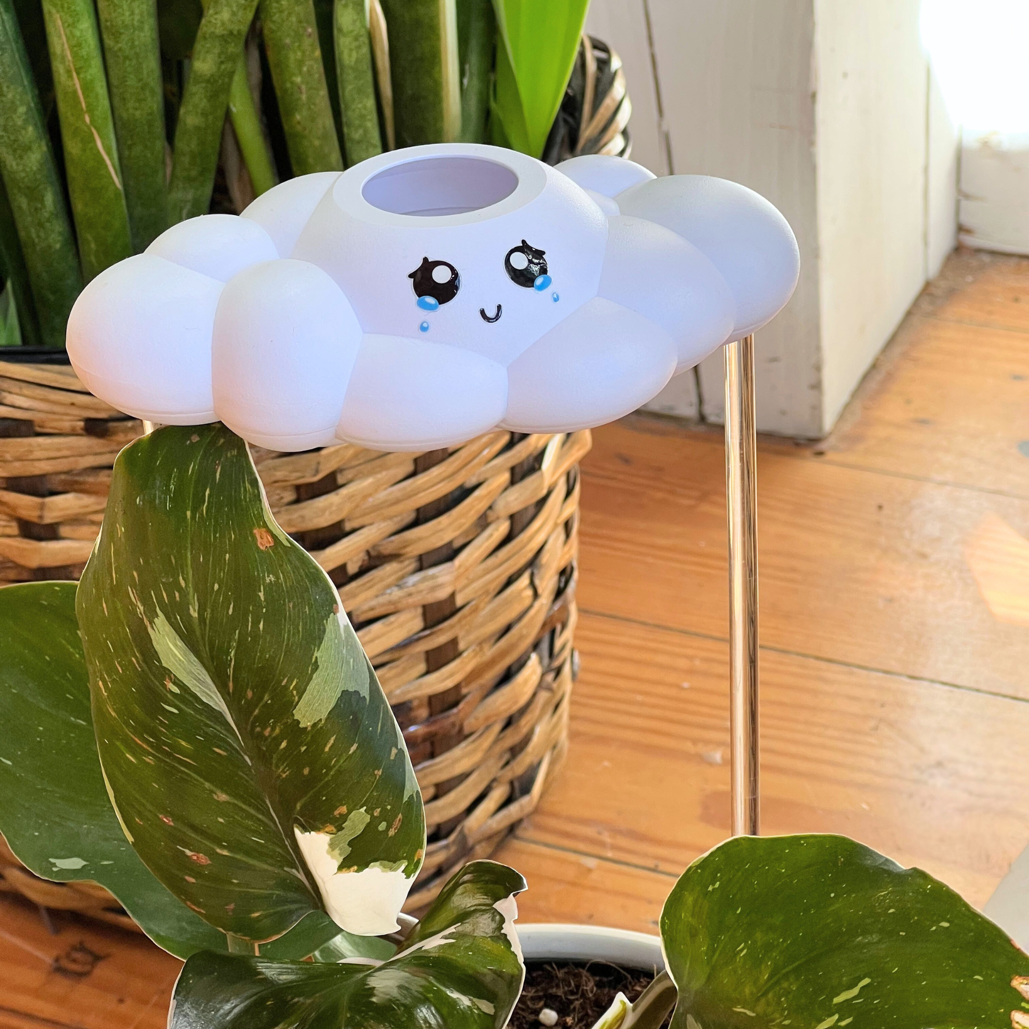 Clara The Cloud