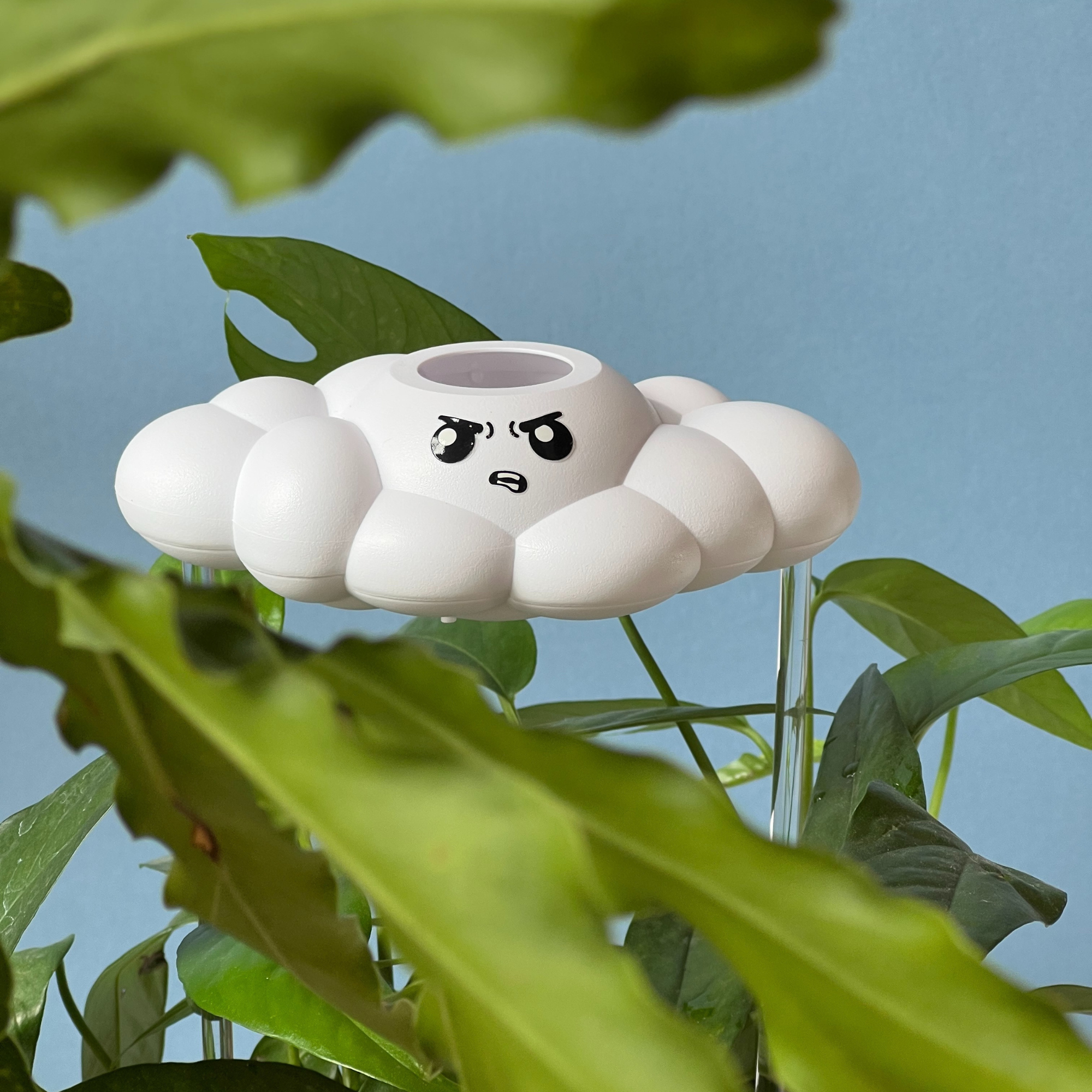Cliff the Cloud
