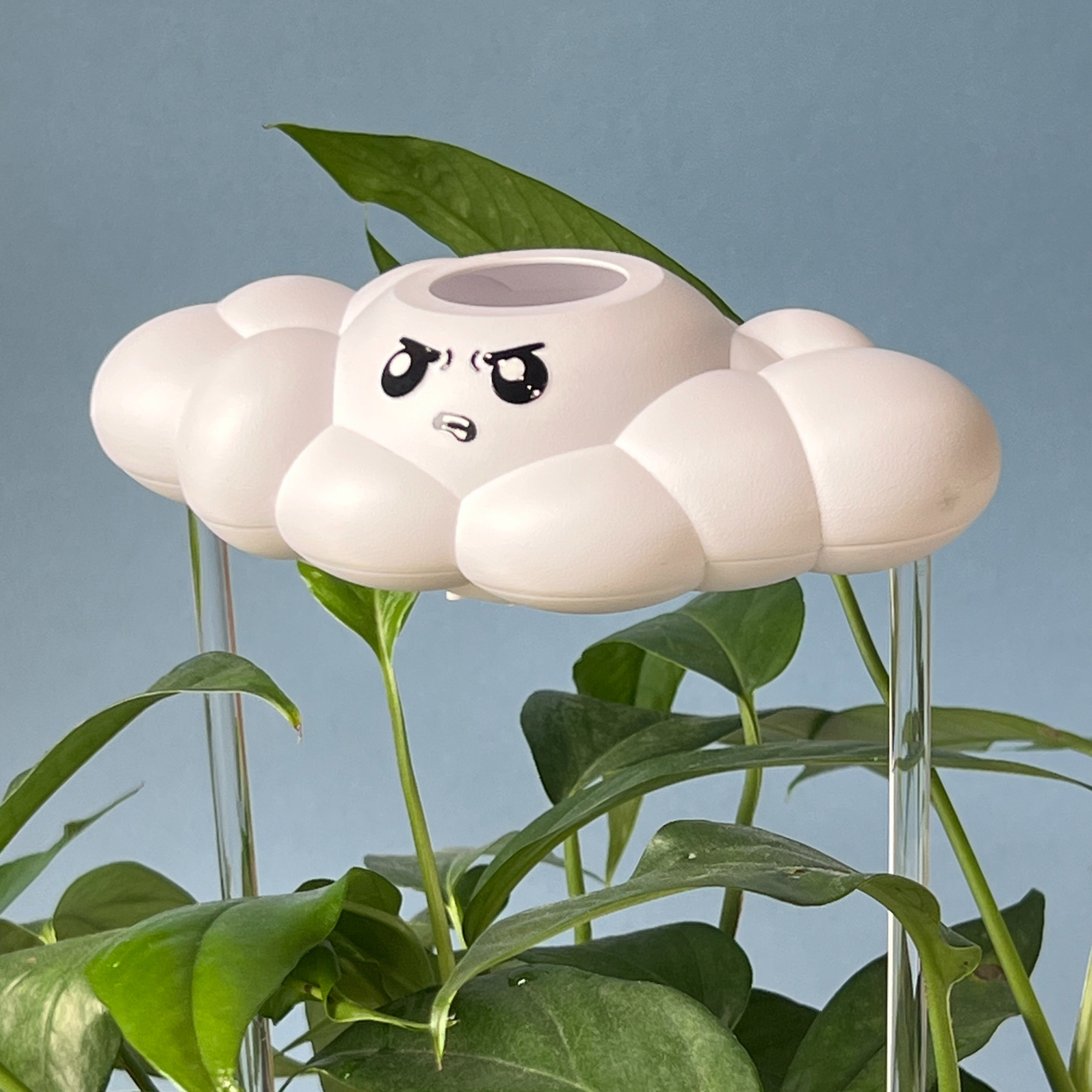 Cliff the Cloud