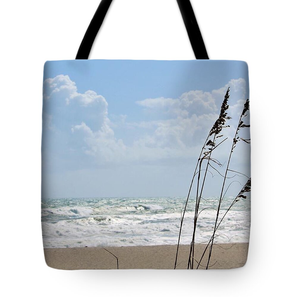 Cloudy Seaside with Tall Grasses - Tote Bag