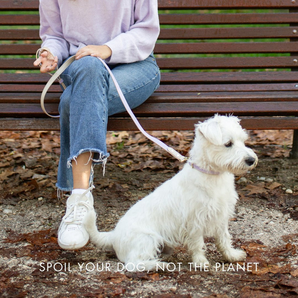 Collar - Vegan Leather