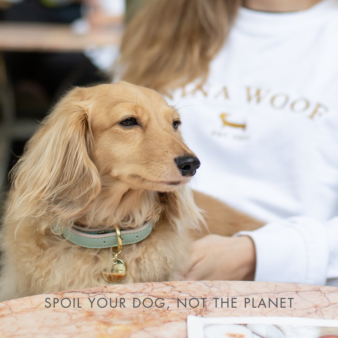 Collar - Vegan Leather