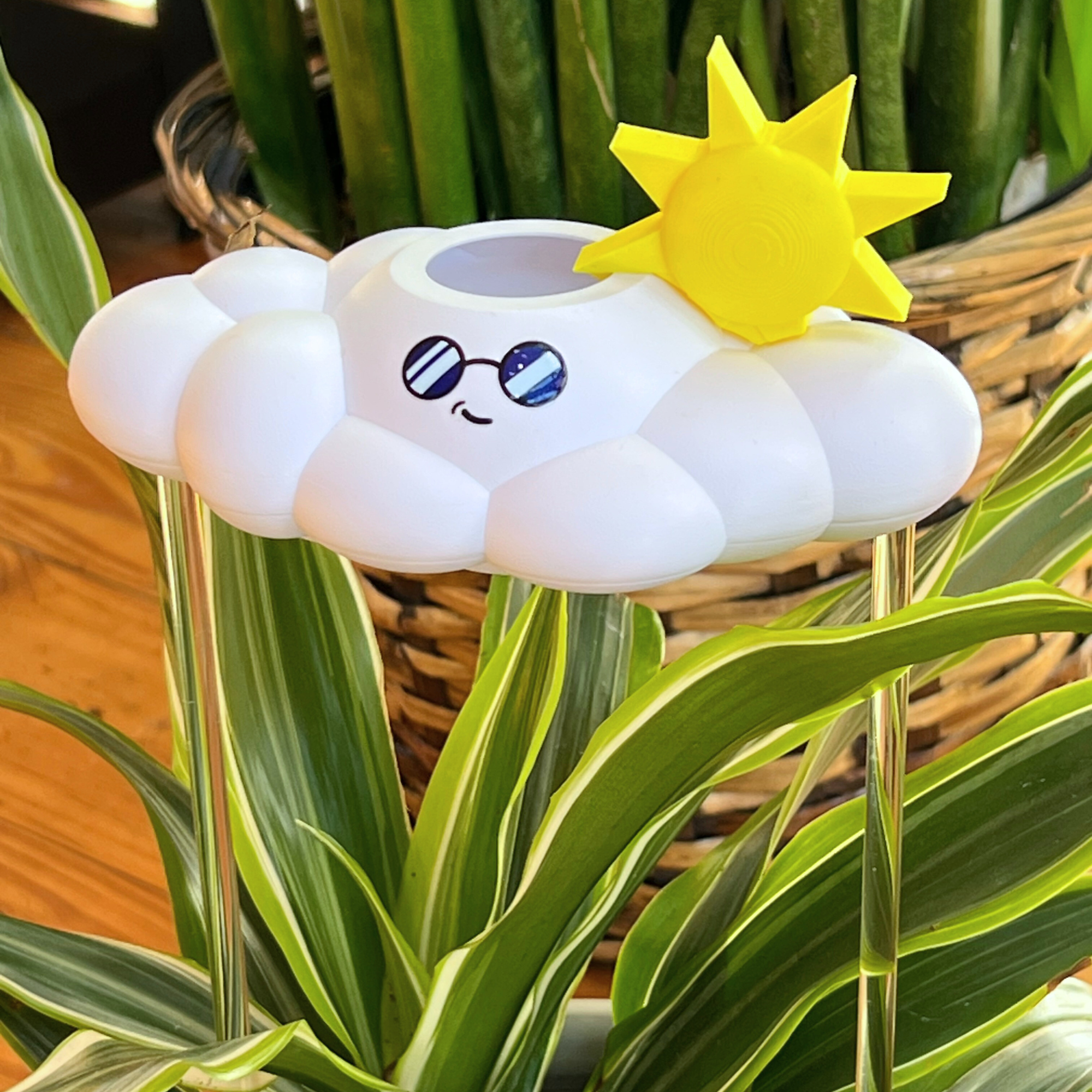 Cooper the Cloud