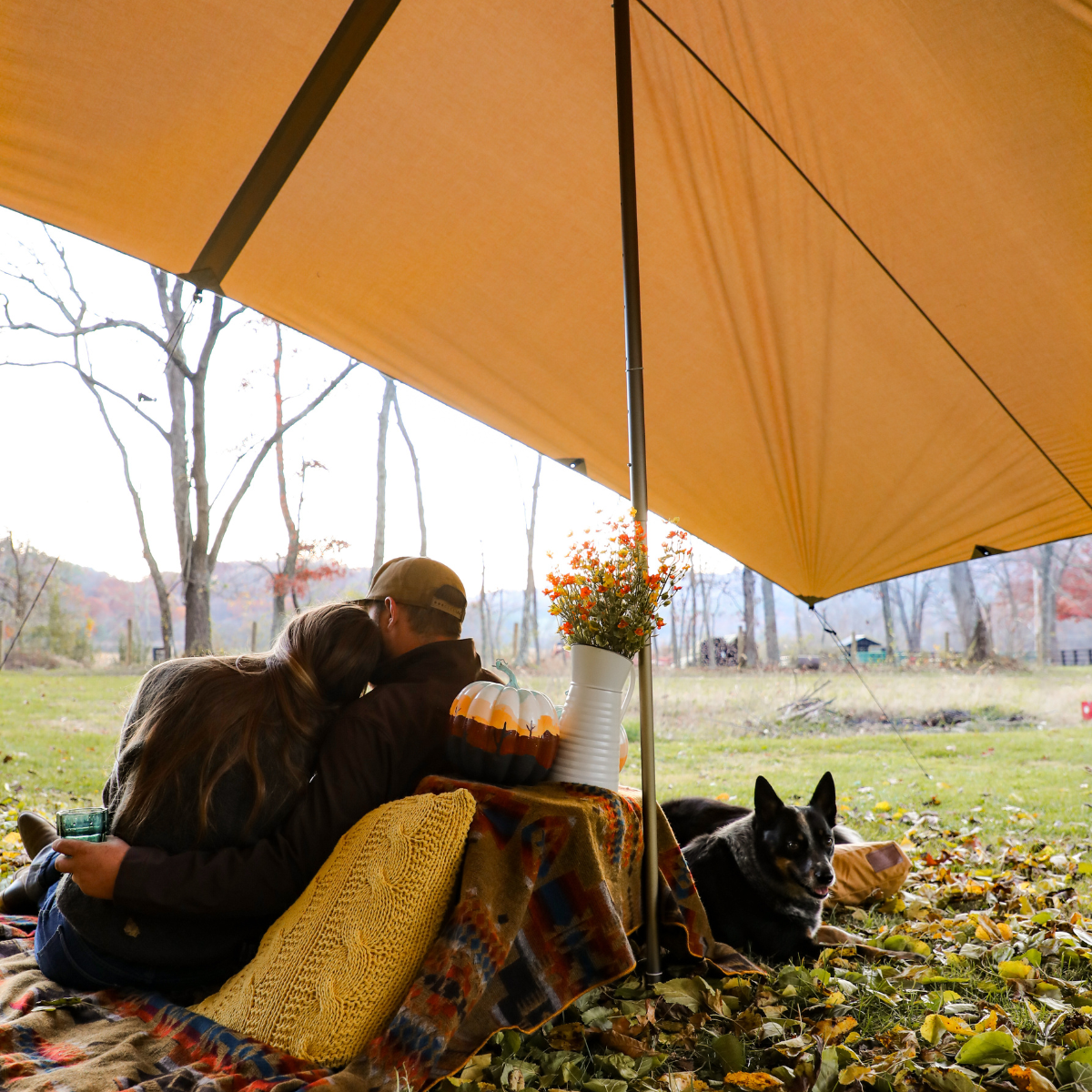 Sunshade Tarp 170
