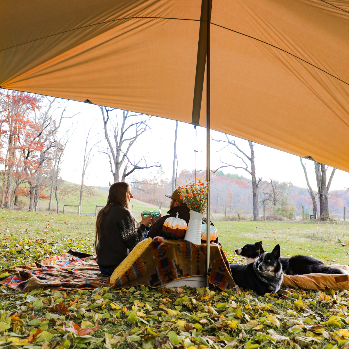Sunshade Tarp 400