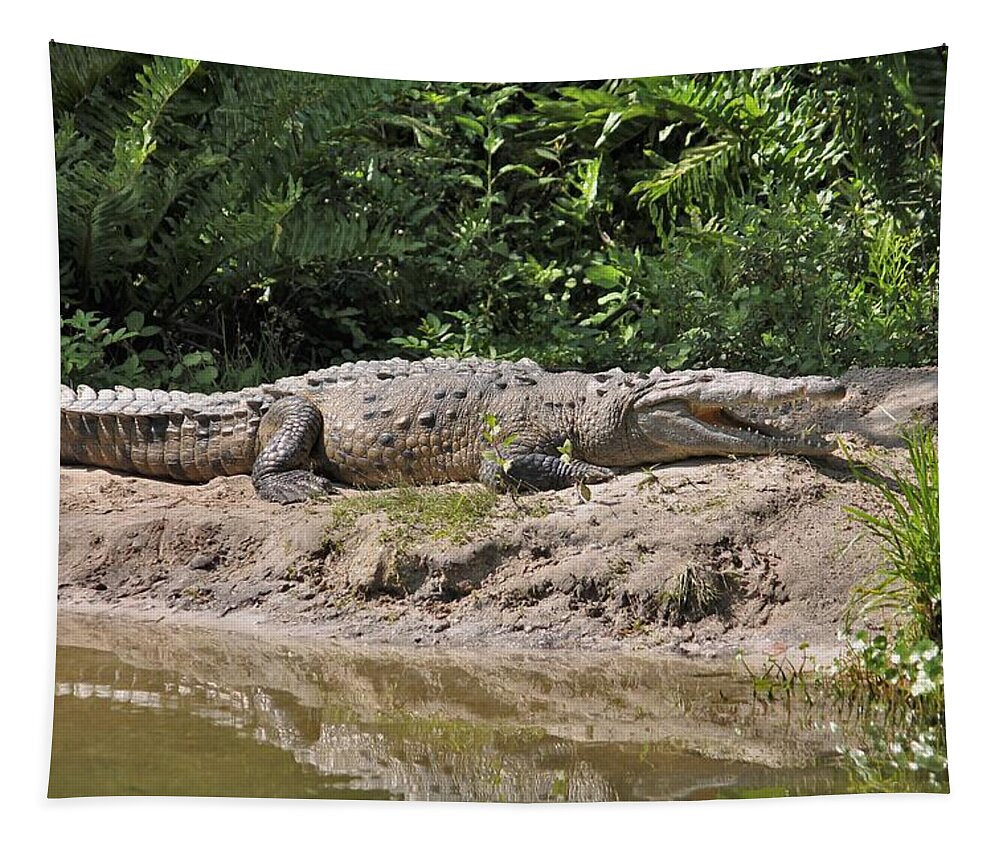 Crocodile by the Riverside - Tapestry