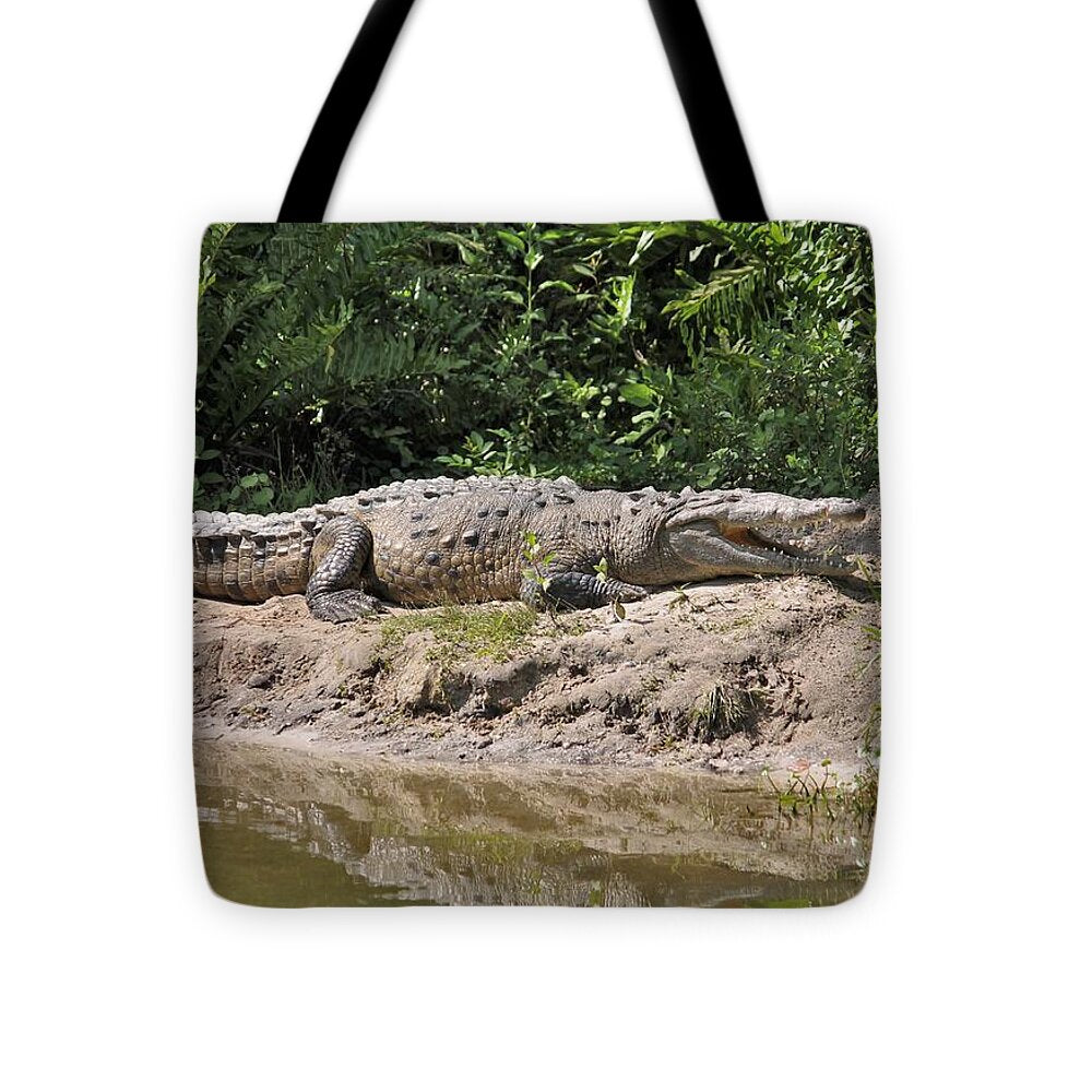 Crocodile by the Riverside - Tote Bag