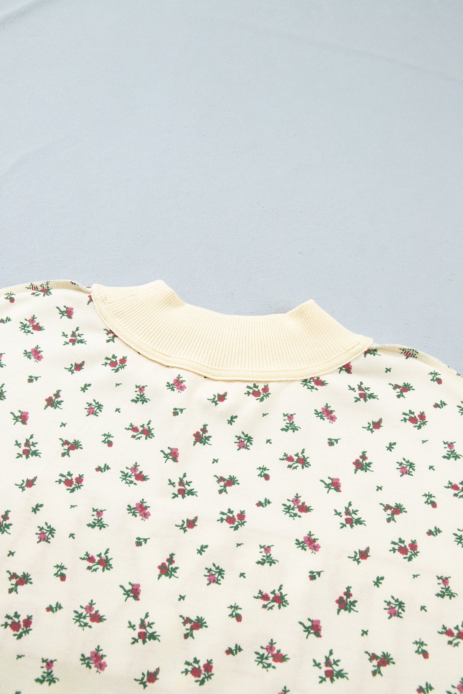 TEXAS Embroidered Floral Mock Neck Sweatshirt
