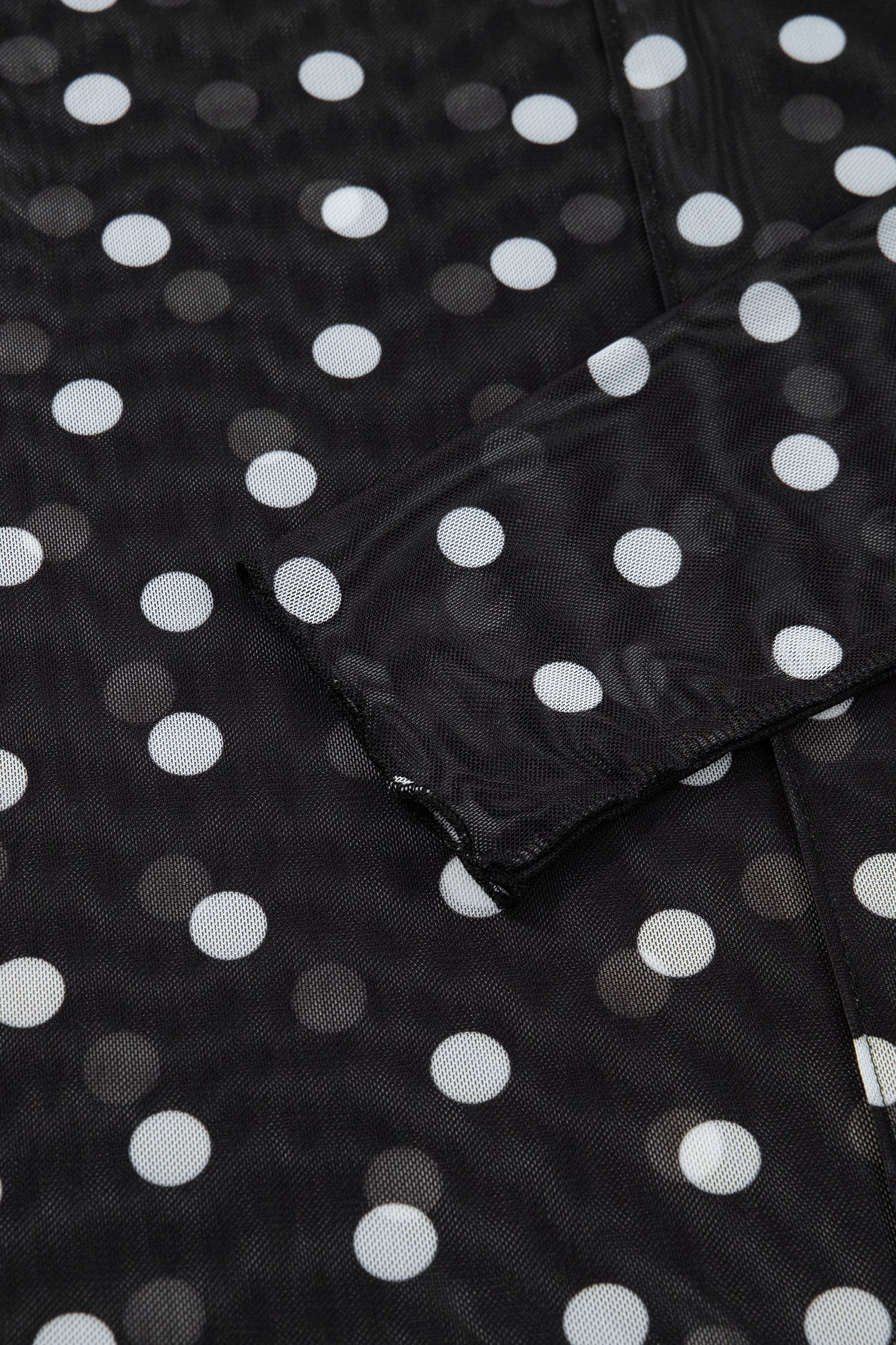 Polka Dot Mesh Mock Neck Long Sleeve Top
