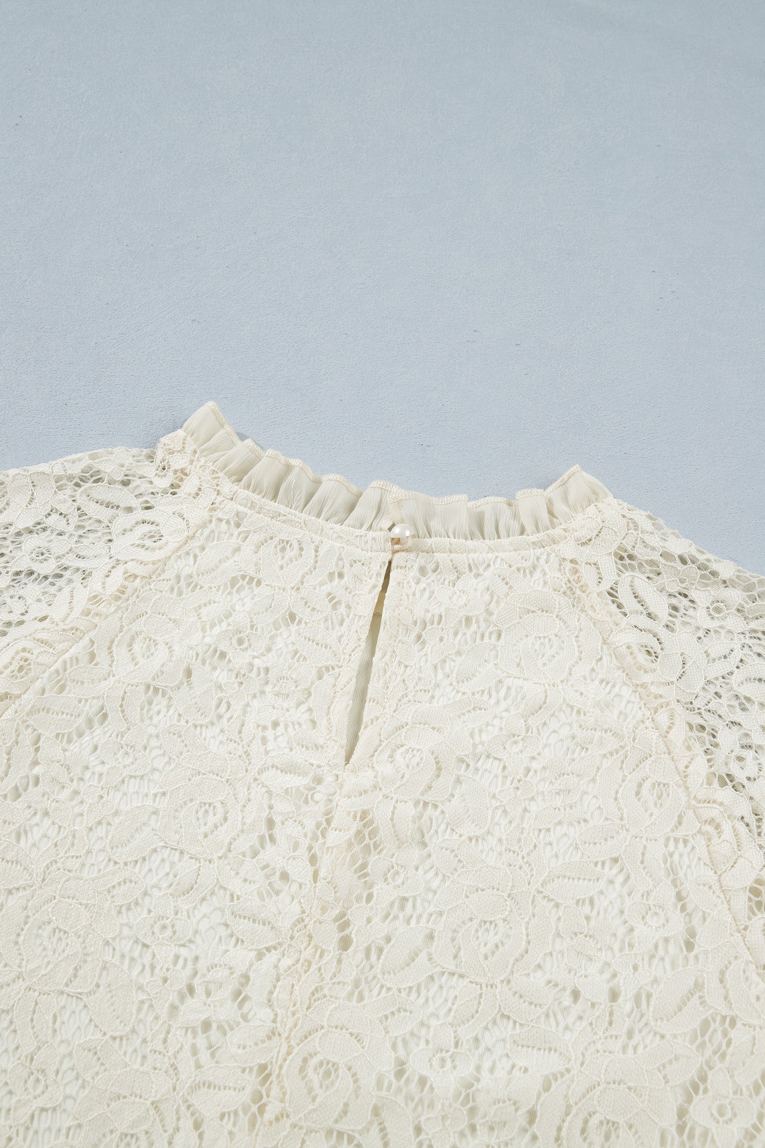 Sheer Lace Ruffle Trim Long Sleeve Blouse