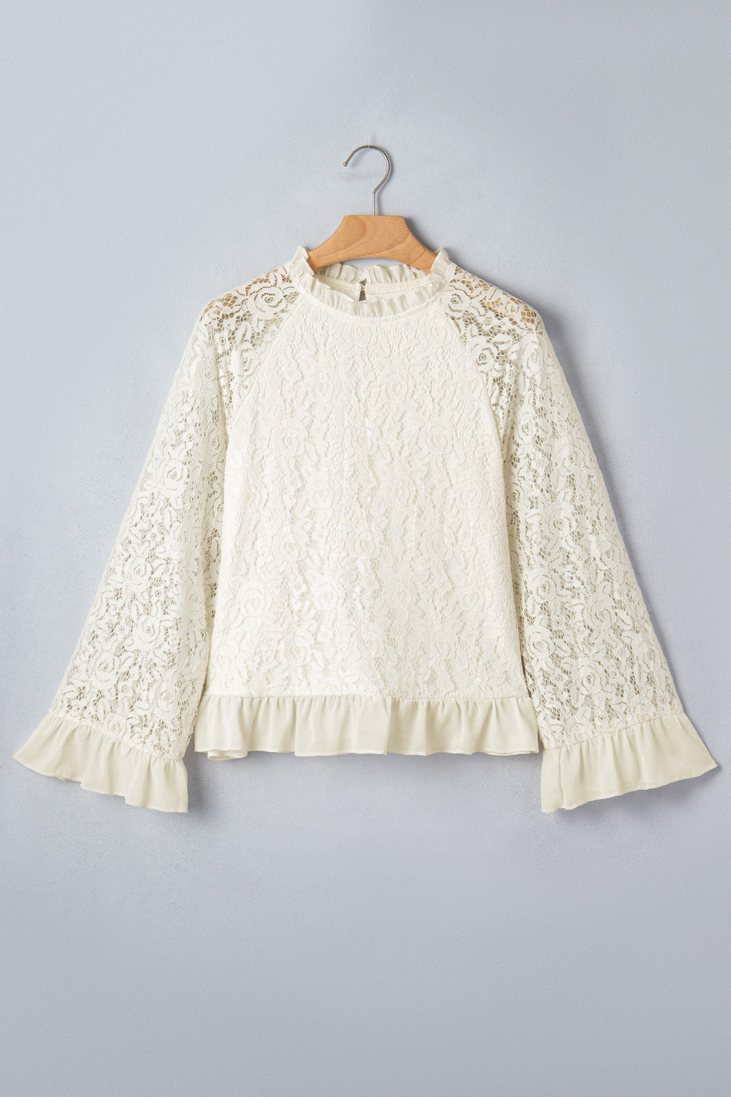 Sheer Lace Ruffle Trim Long Sleeve Blouse
