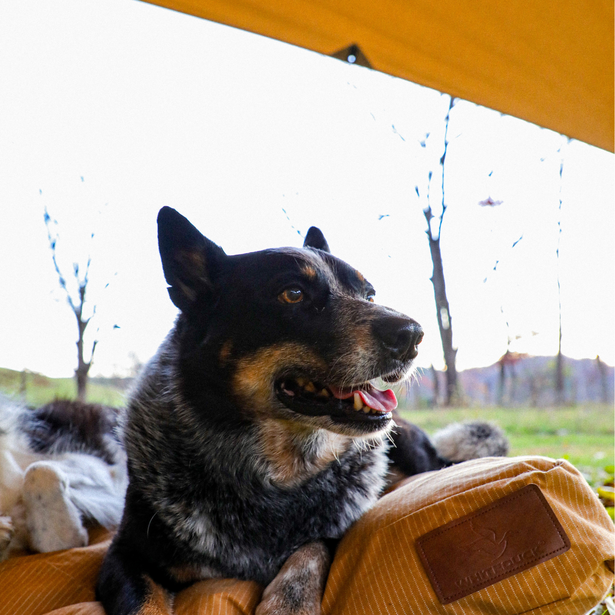 Sunshade Tarp
