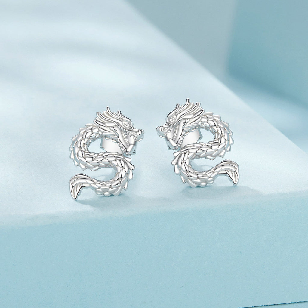 925 Sterling Silver Plated White Gold Earrings