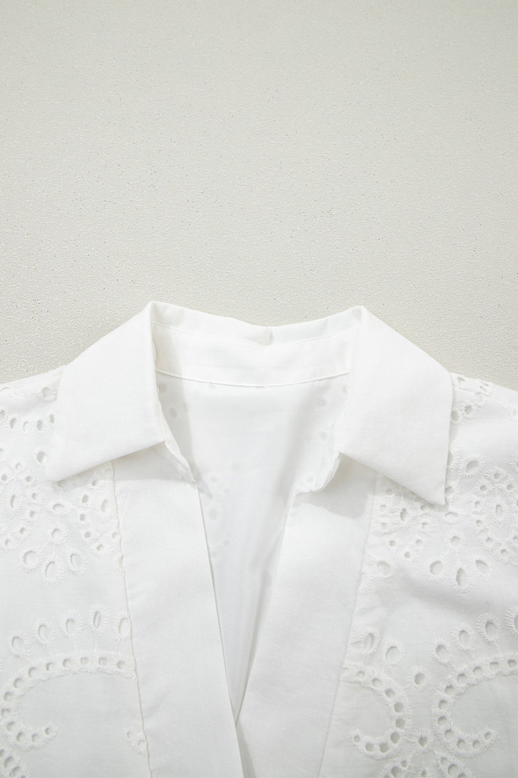 Solid Embroidered Eyelet Collared V-Neck Mini Dress