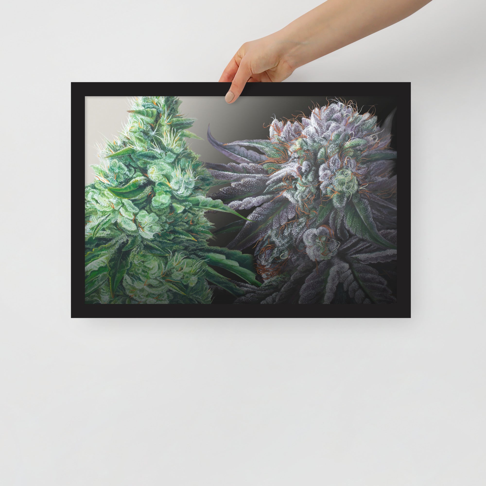 FRAMED 18"x12" Day&Night poster