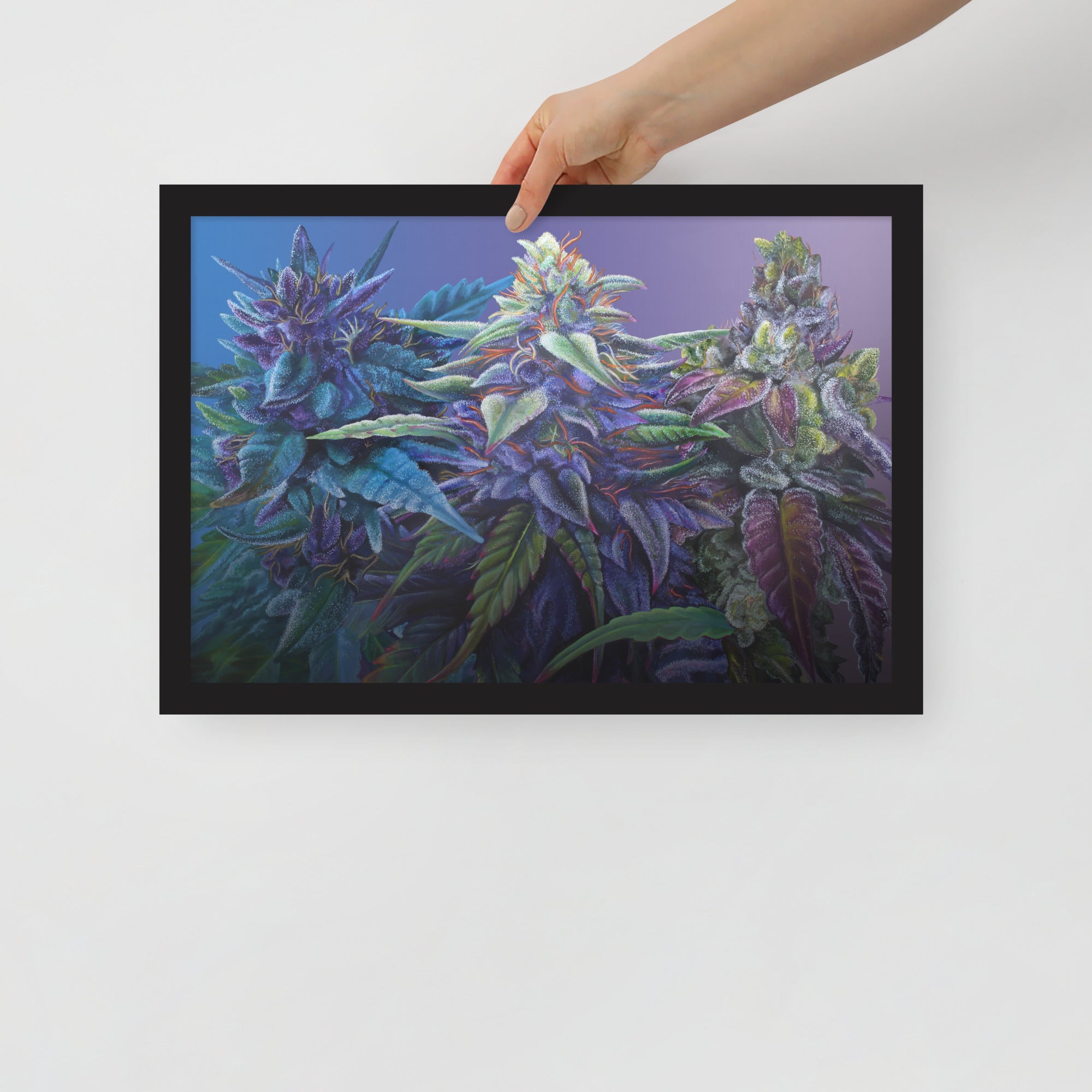 FRAMED 18"x12" PURPS - Purple Cannabis Print