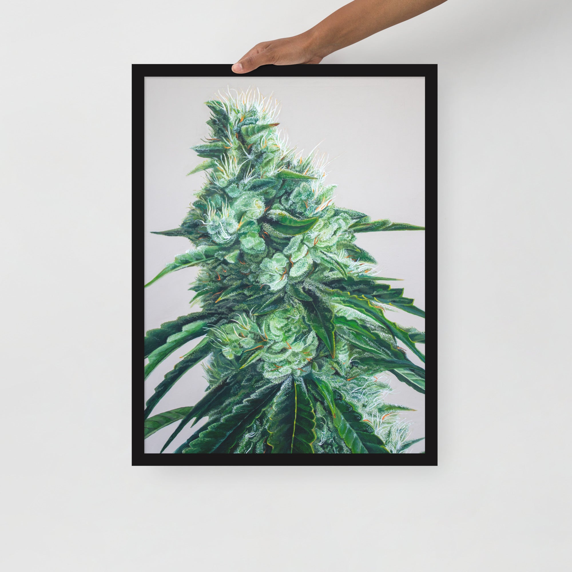 FRAMED White Durban poster