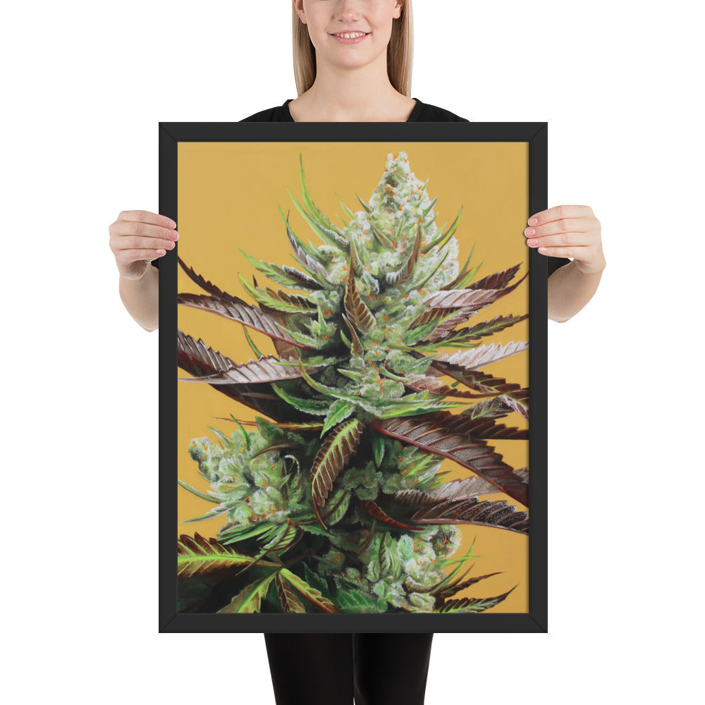 FRAMED 18x24 Super Lemon Haze Weed Poster