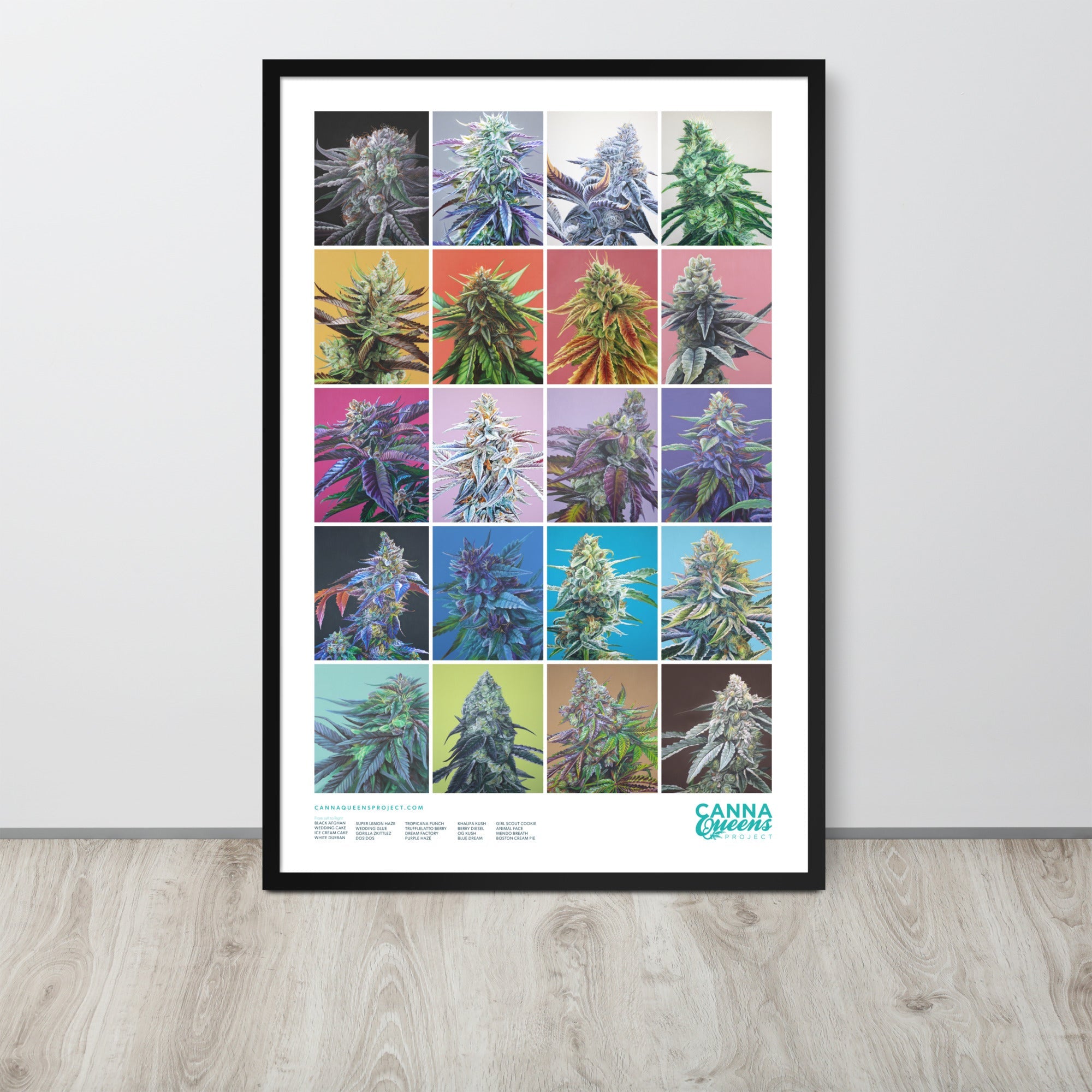FRAMED 20 Strains Cannabis Poster