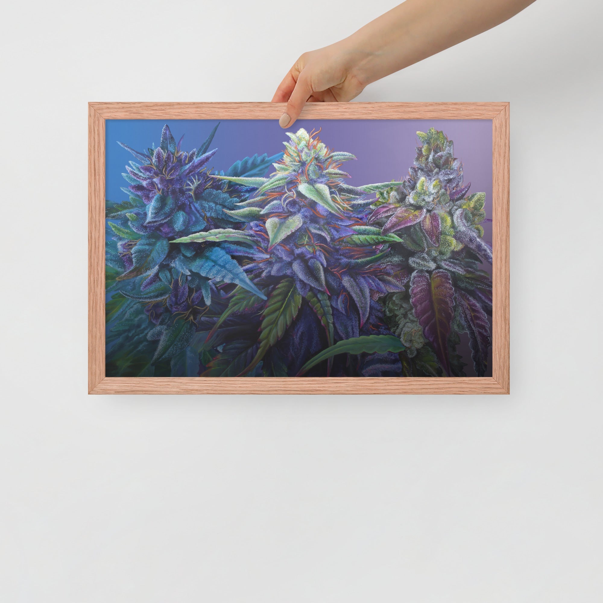 FRAMED 18"x12" PURPS - Purple Cannabis Print