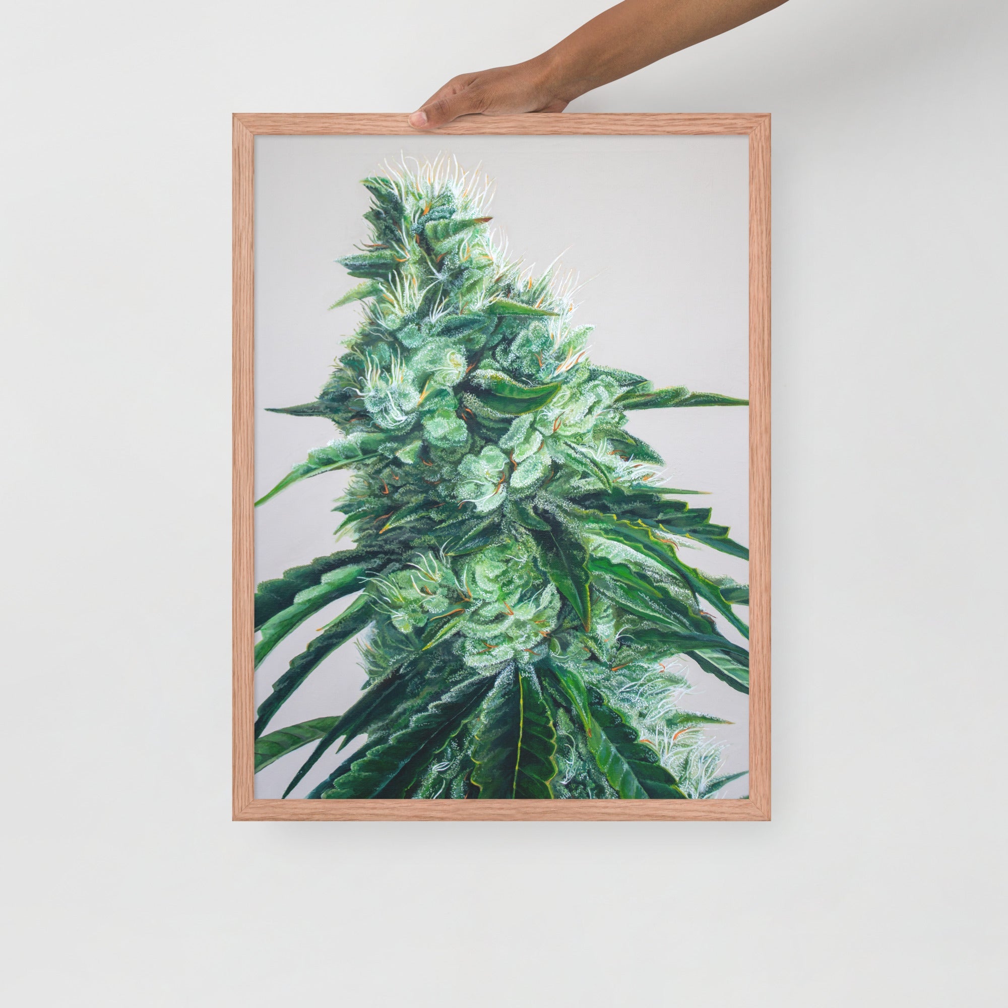 FRAMED White Durban poster
