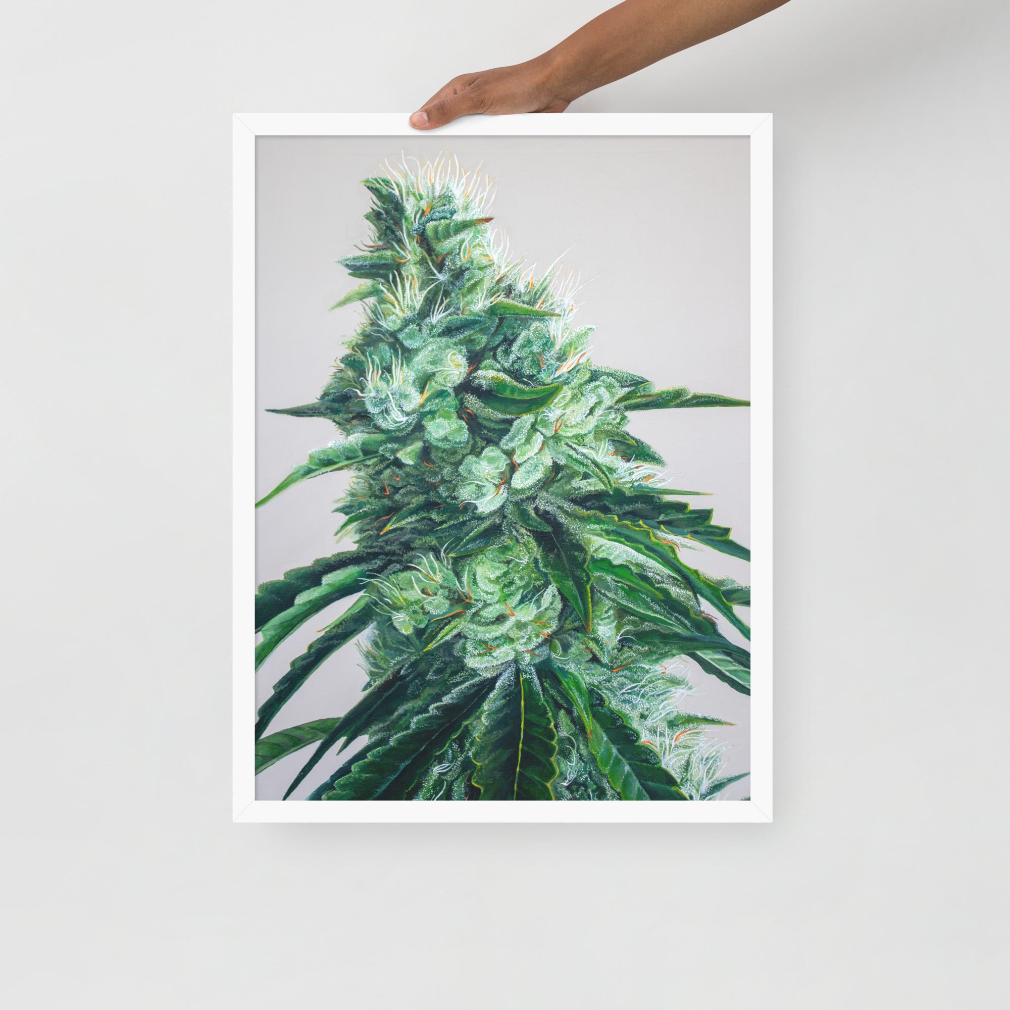FRAMED White Durban poster