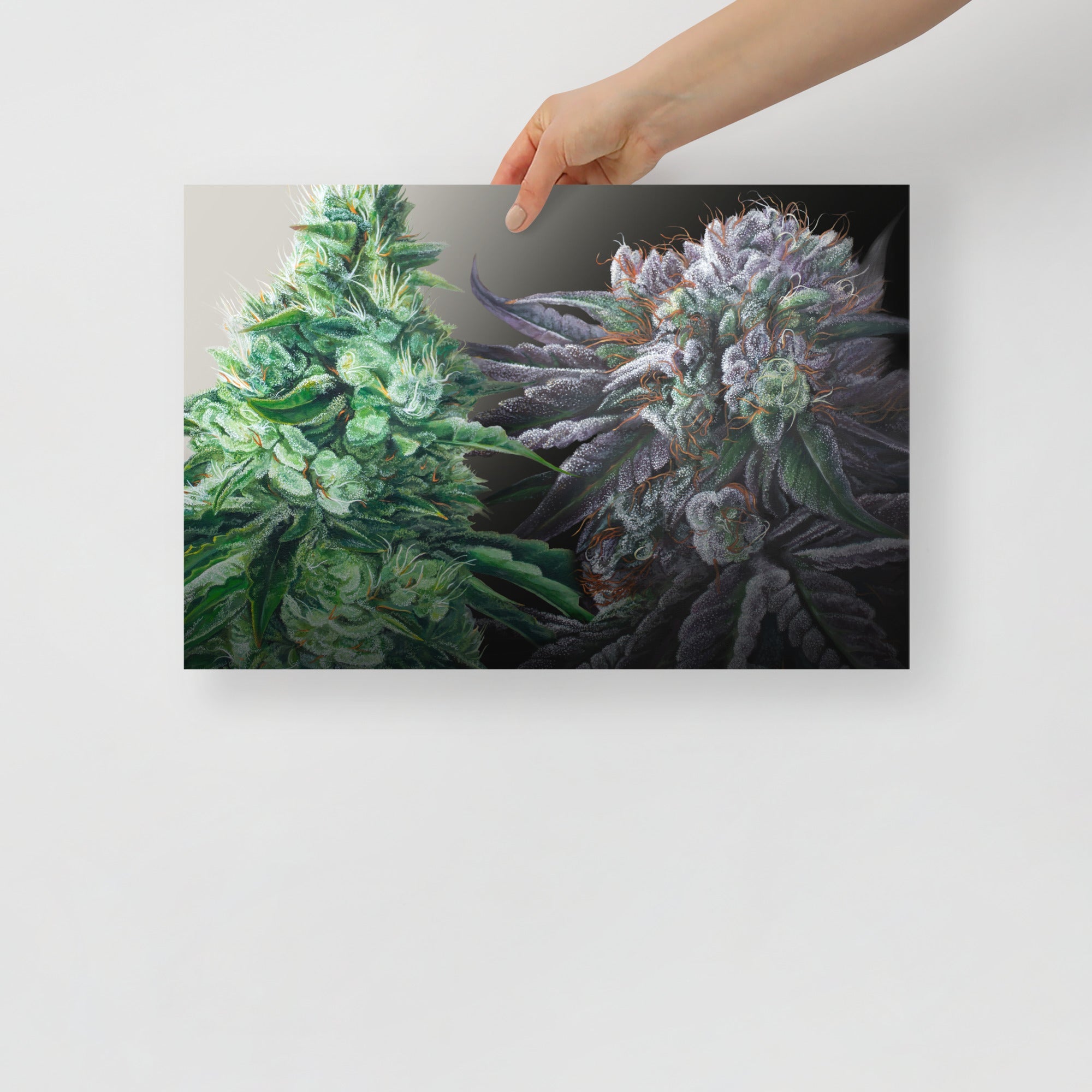 18"x12" (small) Day&Night Poster