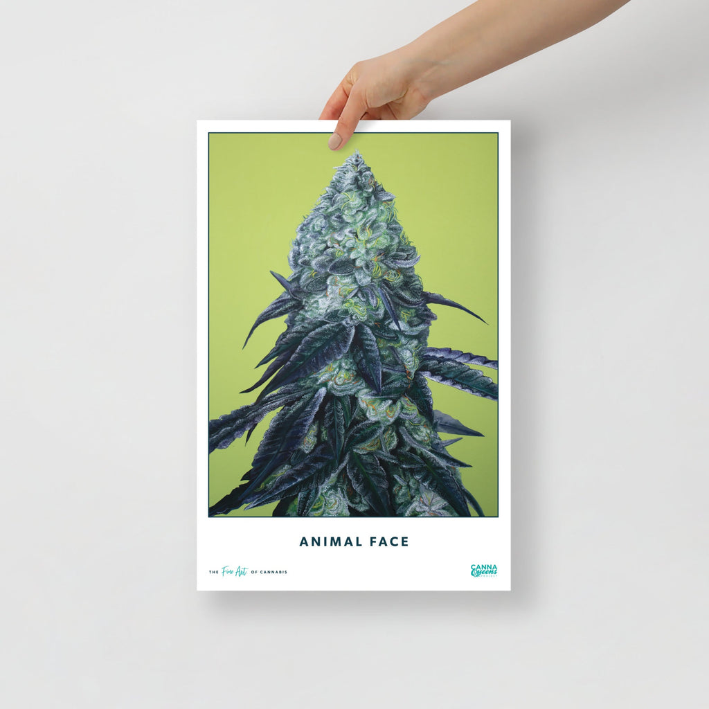STRAIN NAME Animal Face Poster