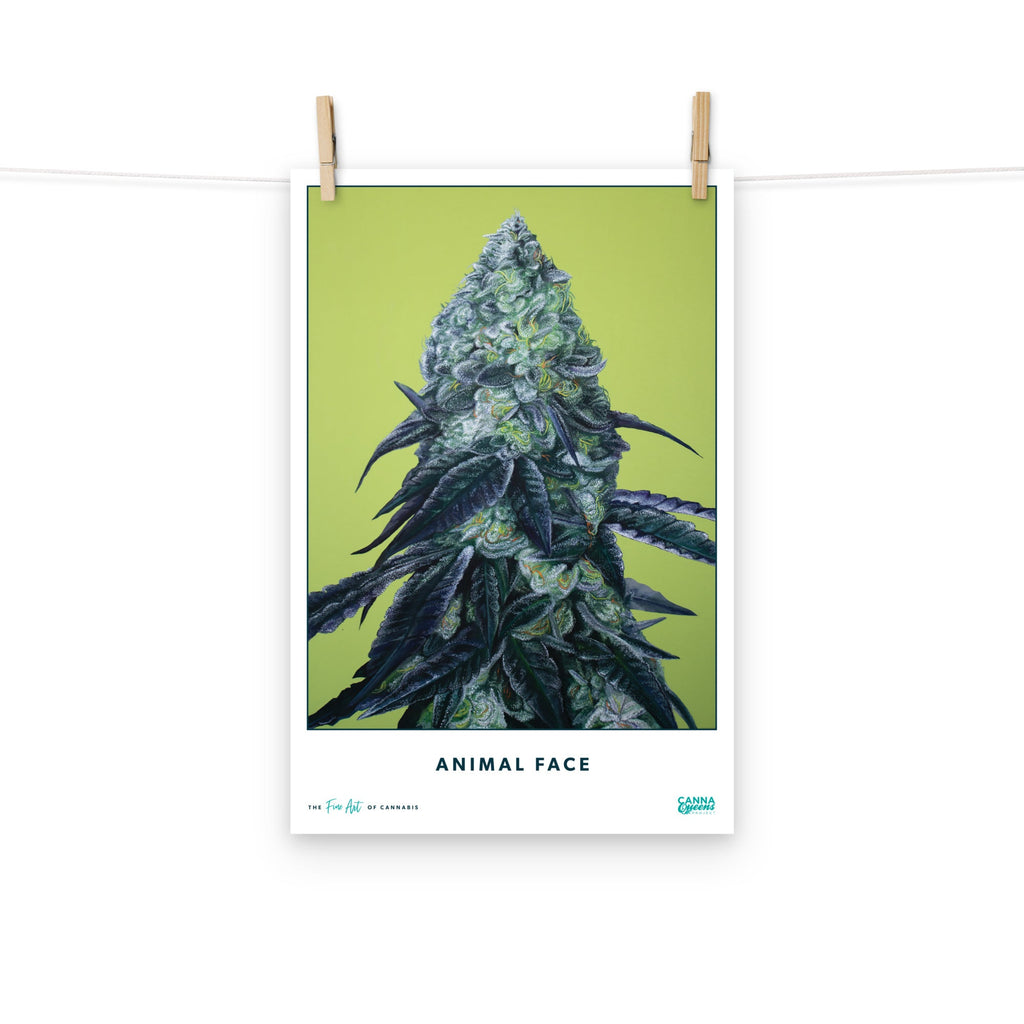 STRAIN NAME Animal Face Poster