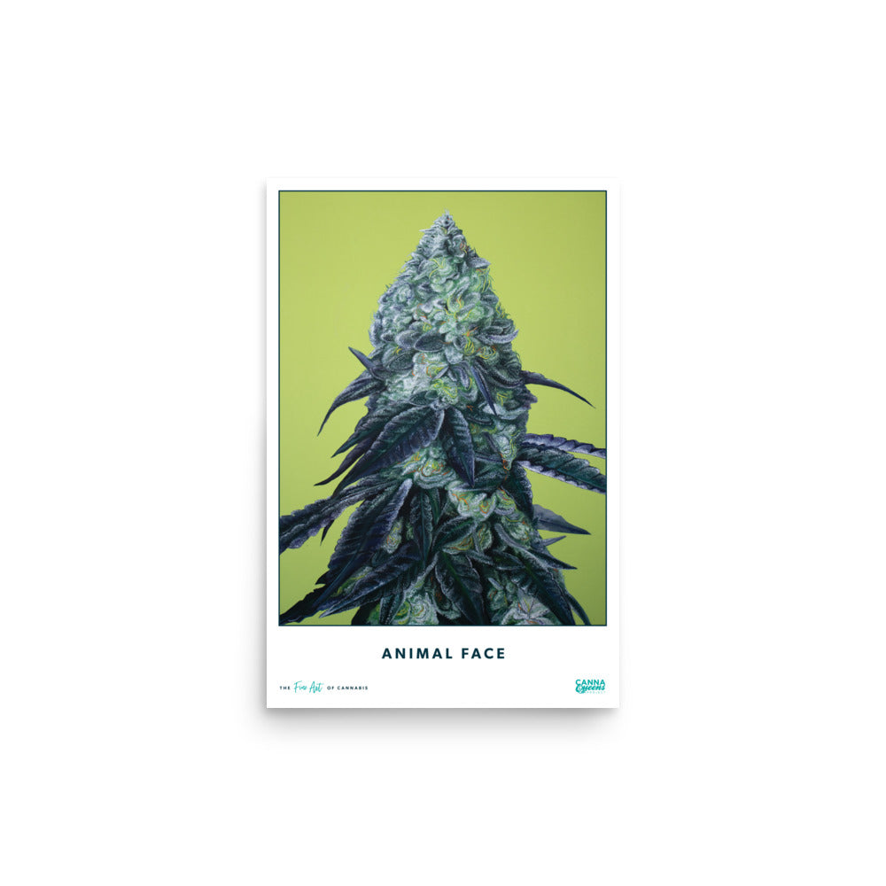 STRAIN NAME Animal Face Poster