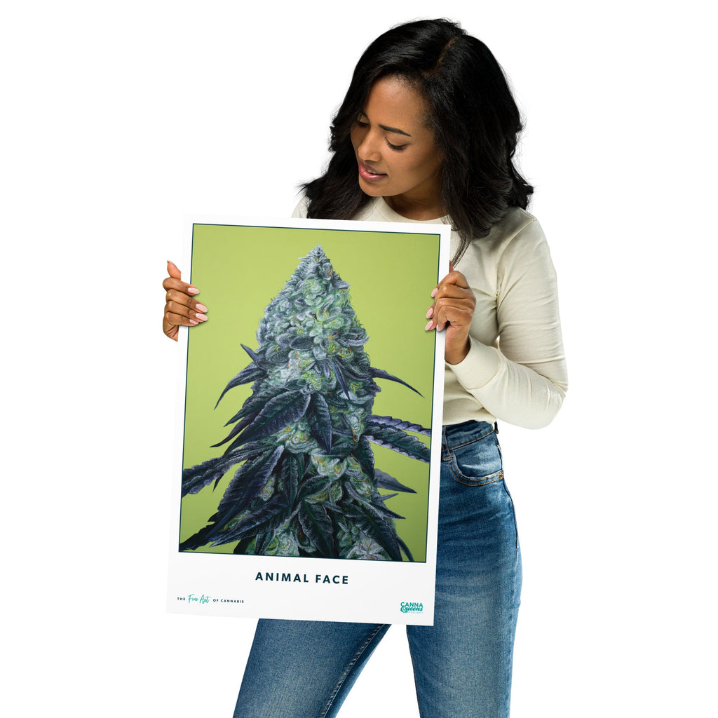 STRAIN NAME Animal Face Poster