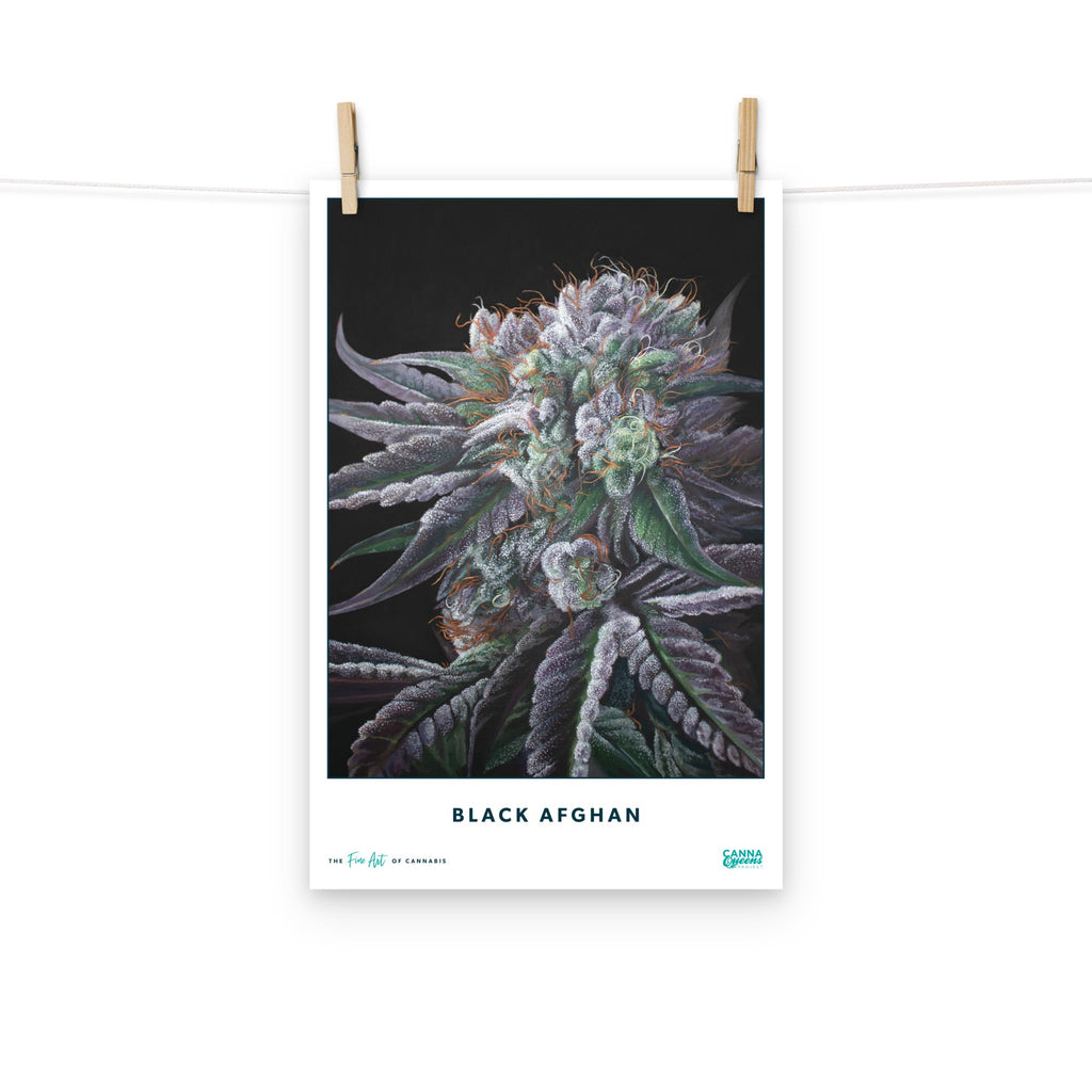 STRAIN NAME Black Afghan Poster